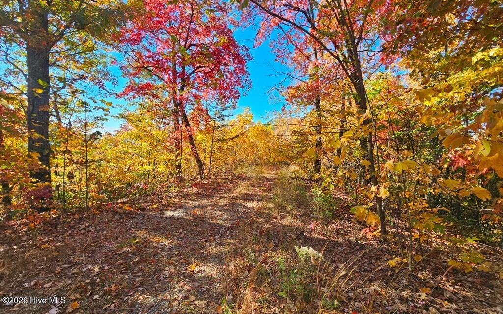 Lt6&7oflt2 6 & 7 Of Lot 2 Valley View Heights Ln Property Photo 15