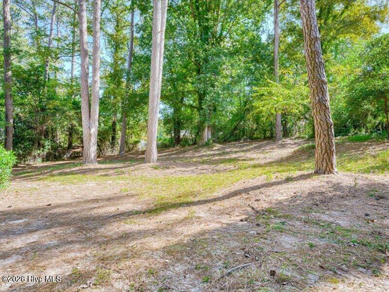 1909 Curtis Drive Property Photo 38