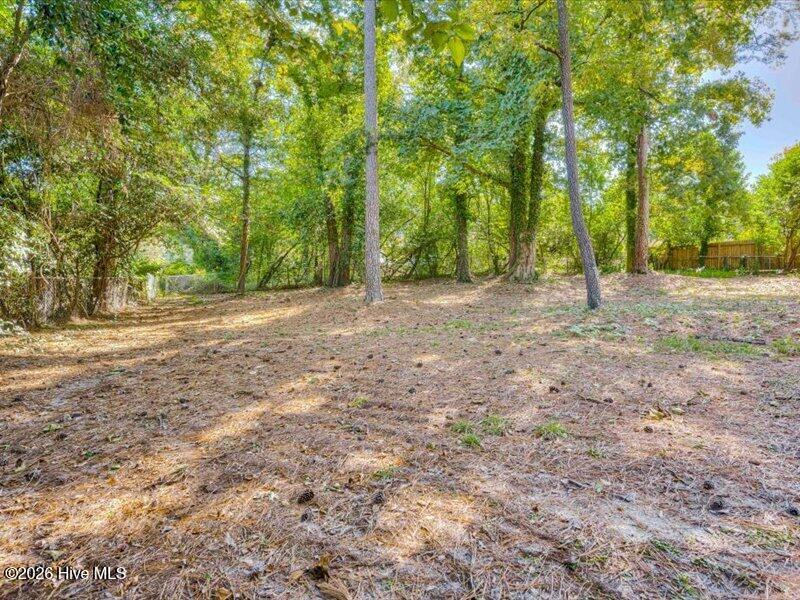 1909 Curtis Drive Property Photo 39