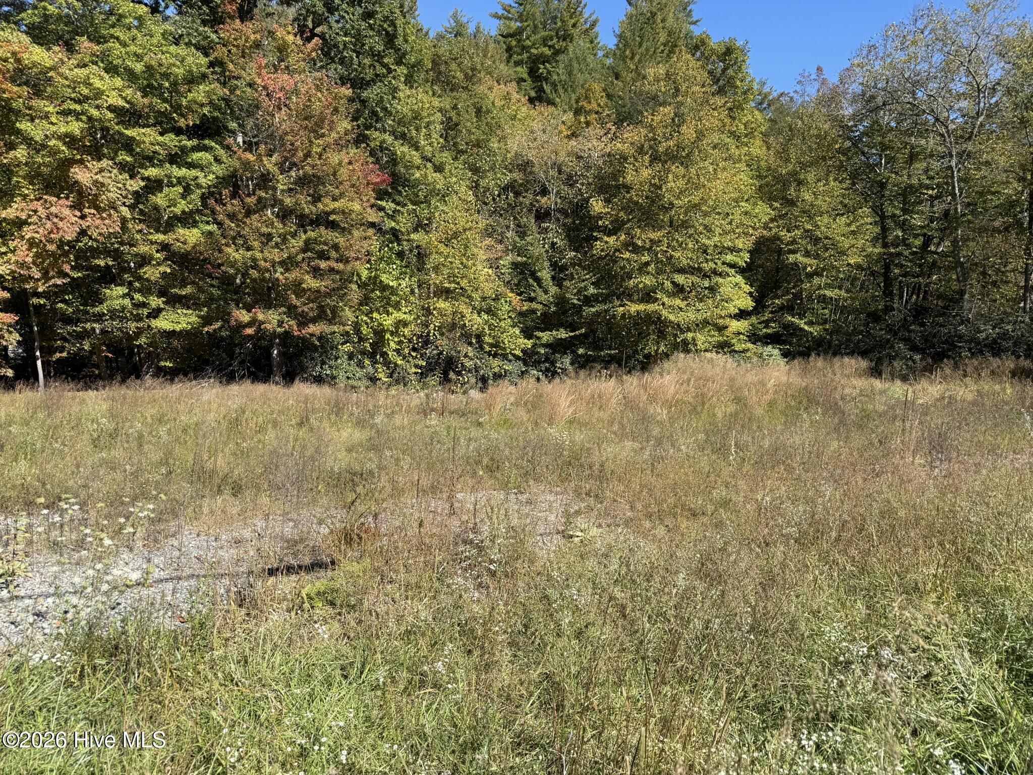 Hwy 129-s Tallulah Road Property Photo 4