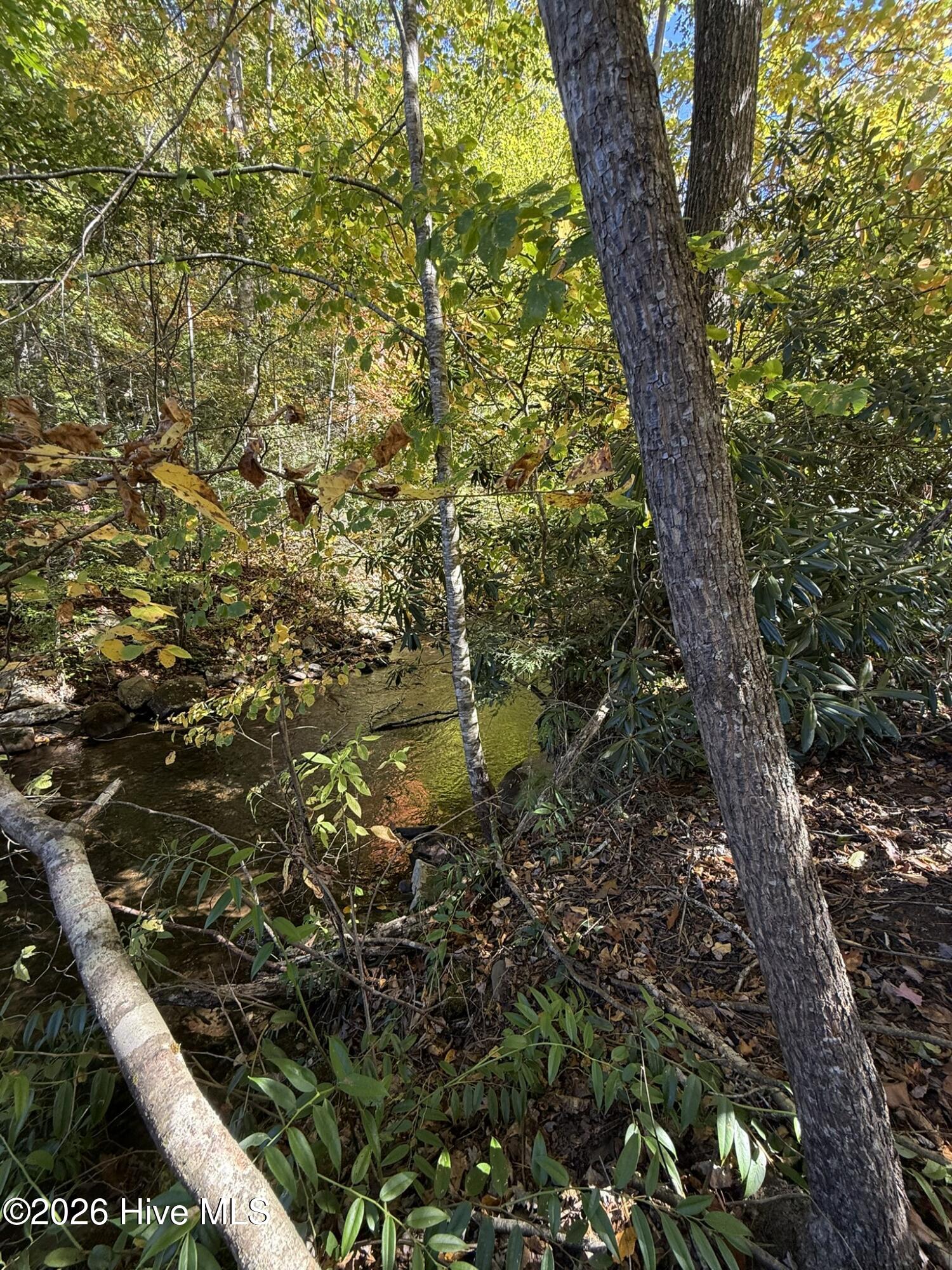Hwy 129-s Tallulah Road Property Photo 7
