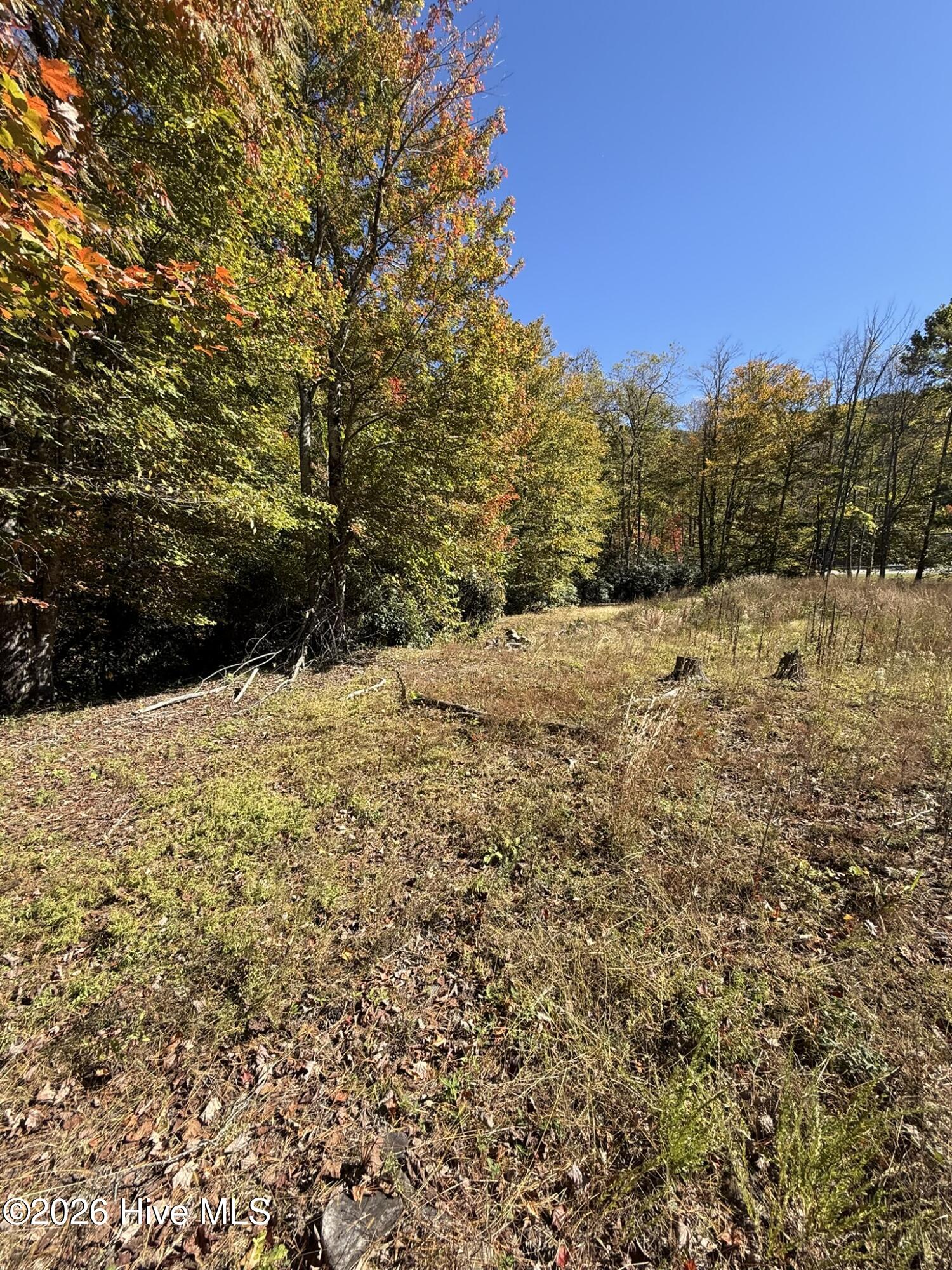 Hwy 129-s Tallulah Road Property Photo 8