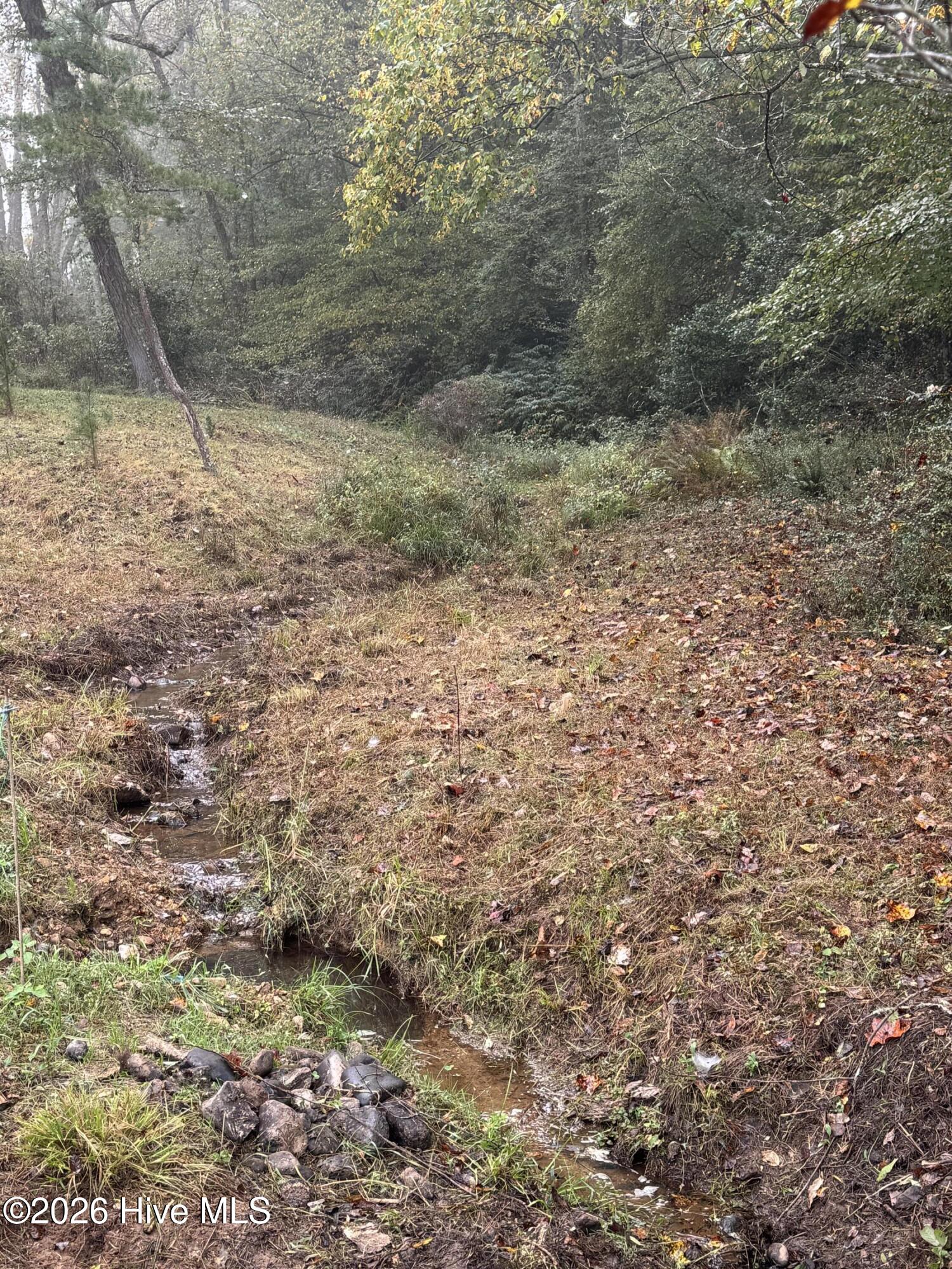 86.35 Acre Nc Highway 60 Property Photo 3