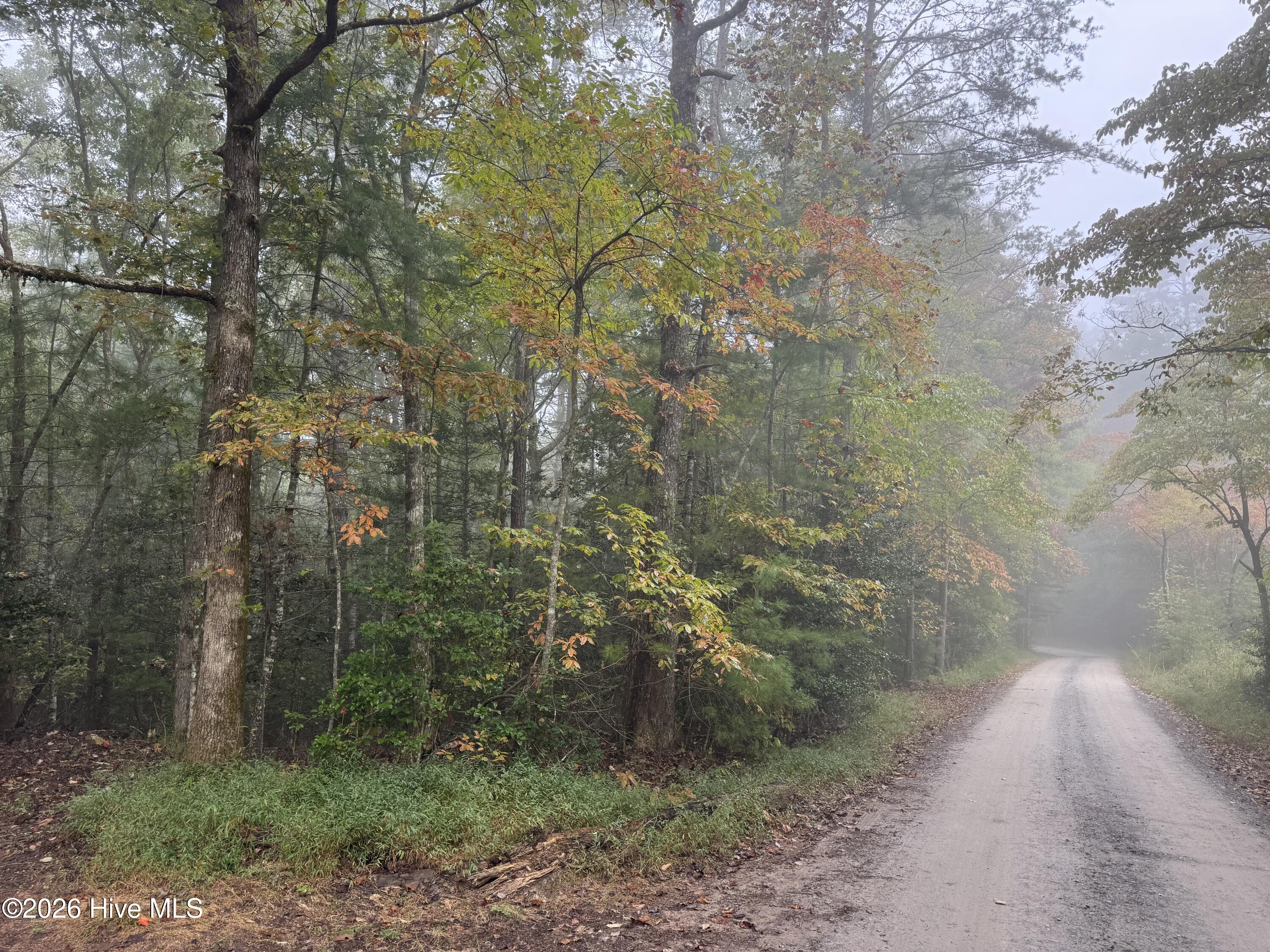86.35 Acre Nc Highway 60 Property Photo 5