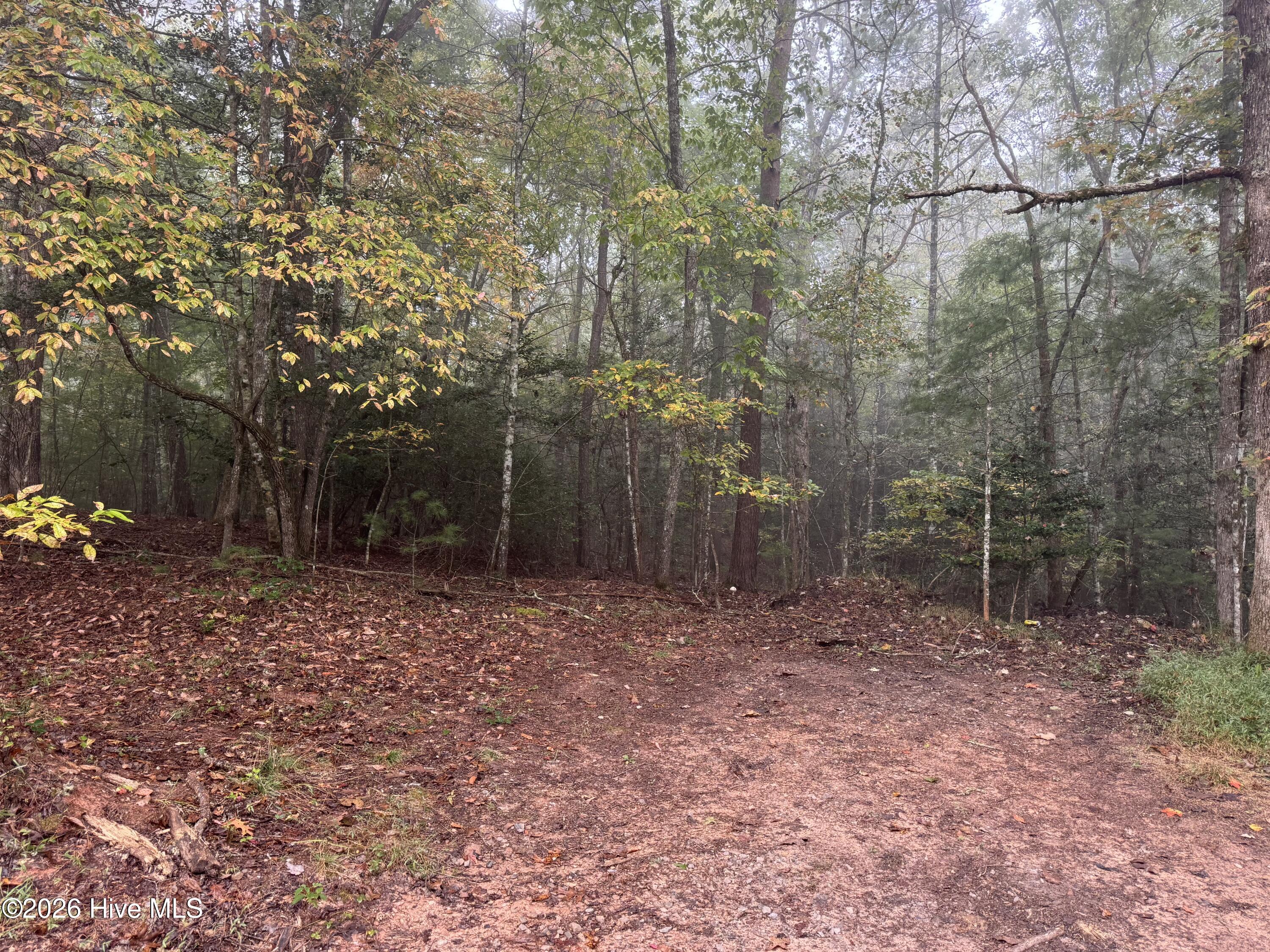 86.35 Acre Nc Highway 60 Property Photo 6
