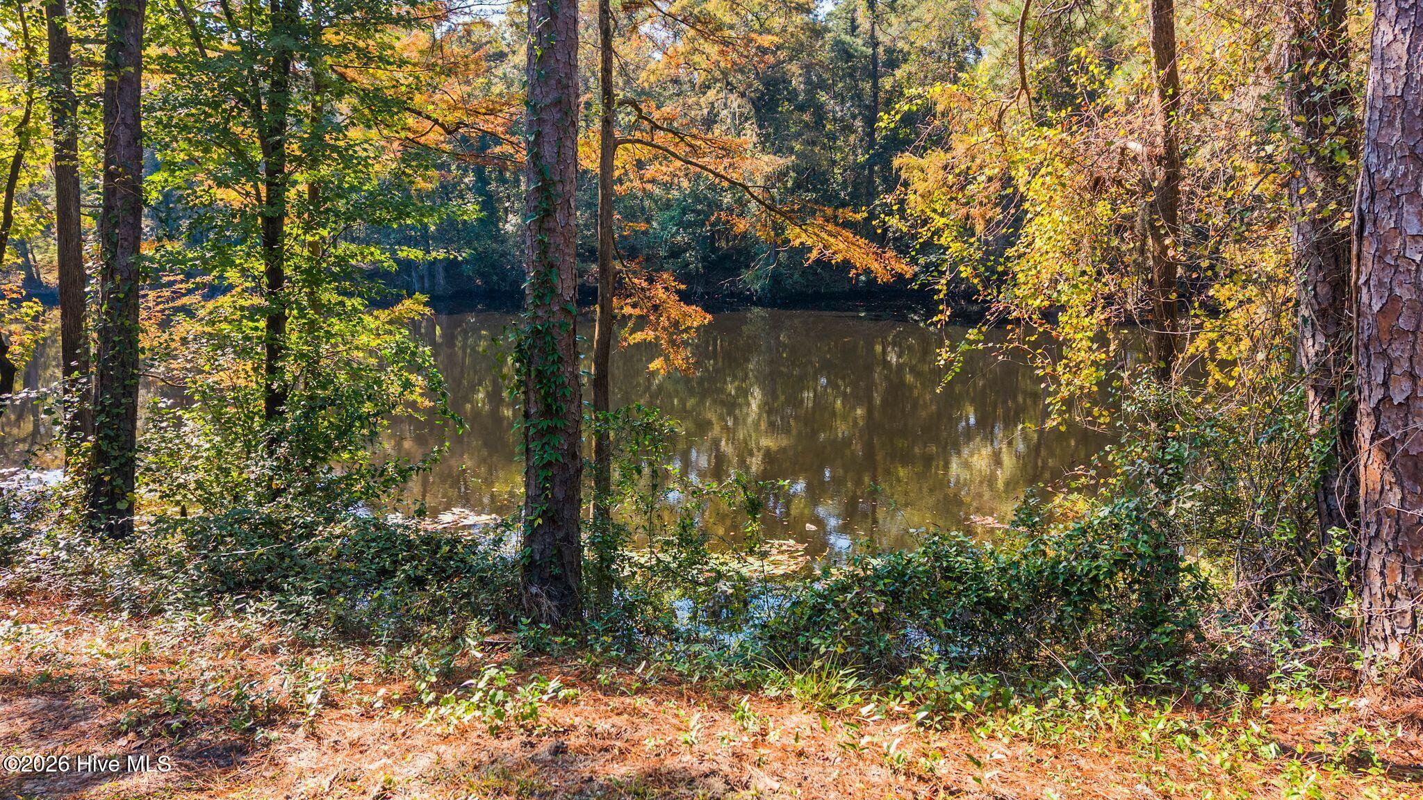 5 5 Riverview Drive Property Photo 10