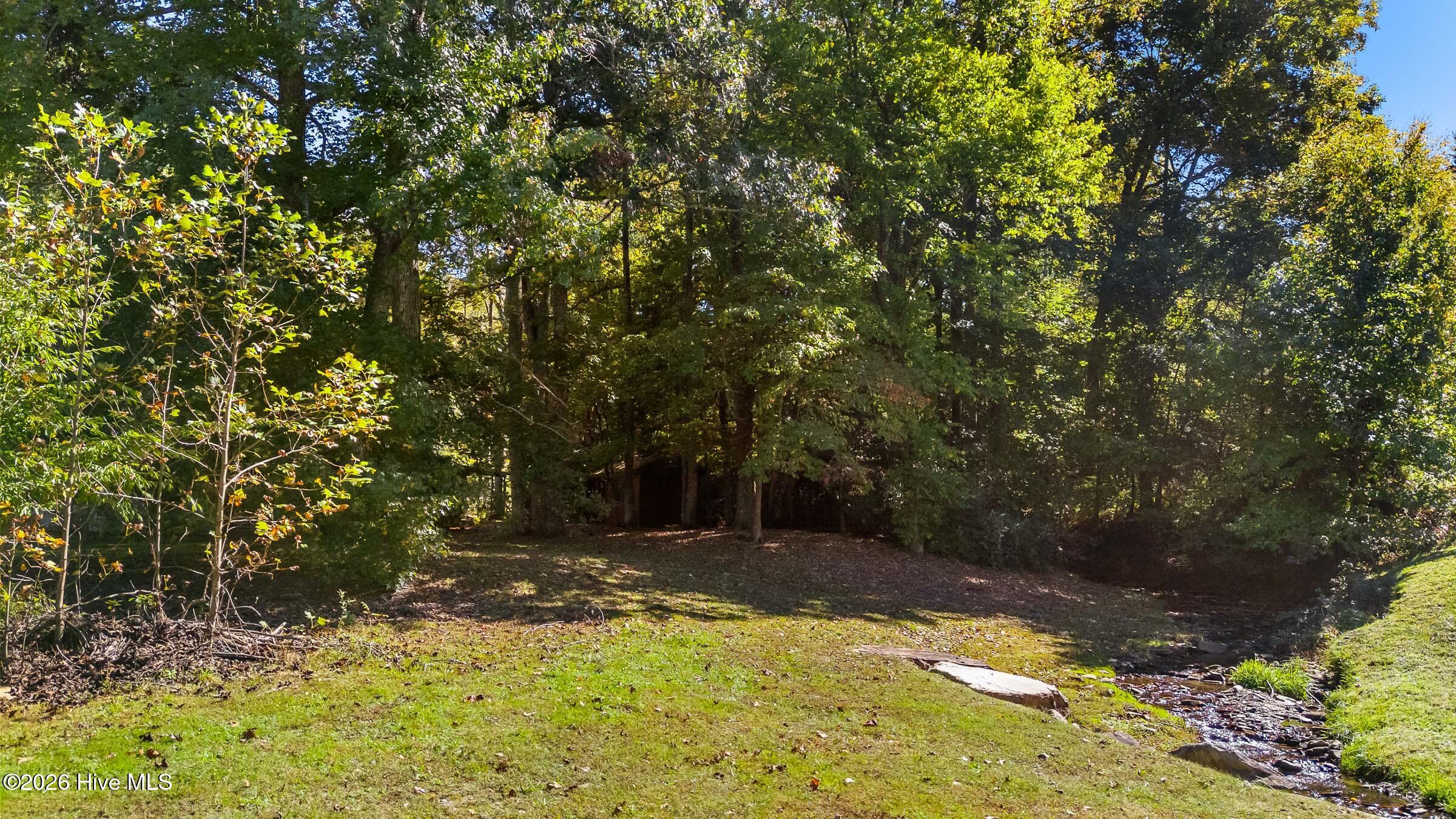 3109 Pisgah Road Property Photo 138