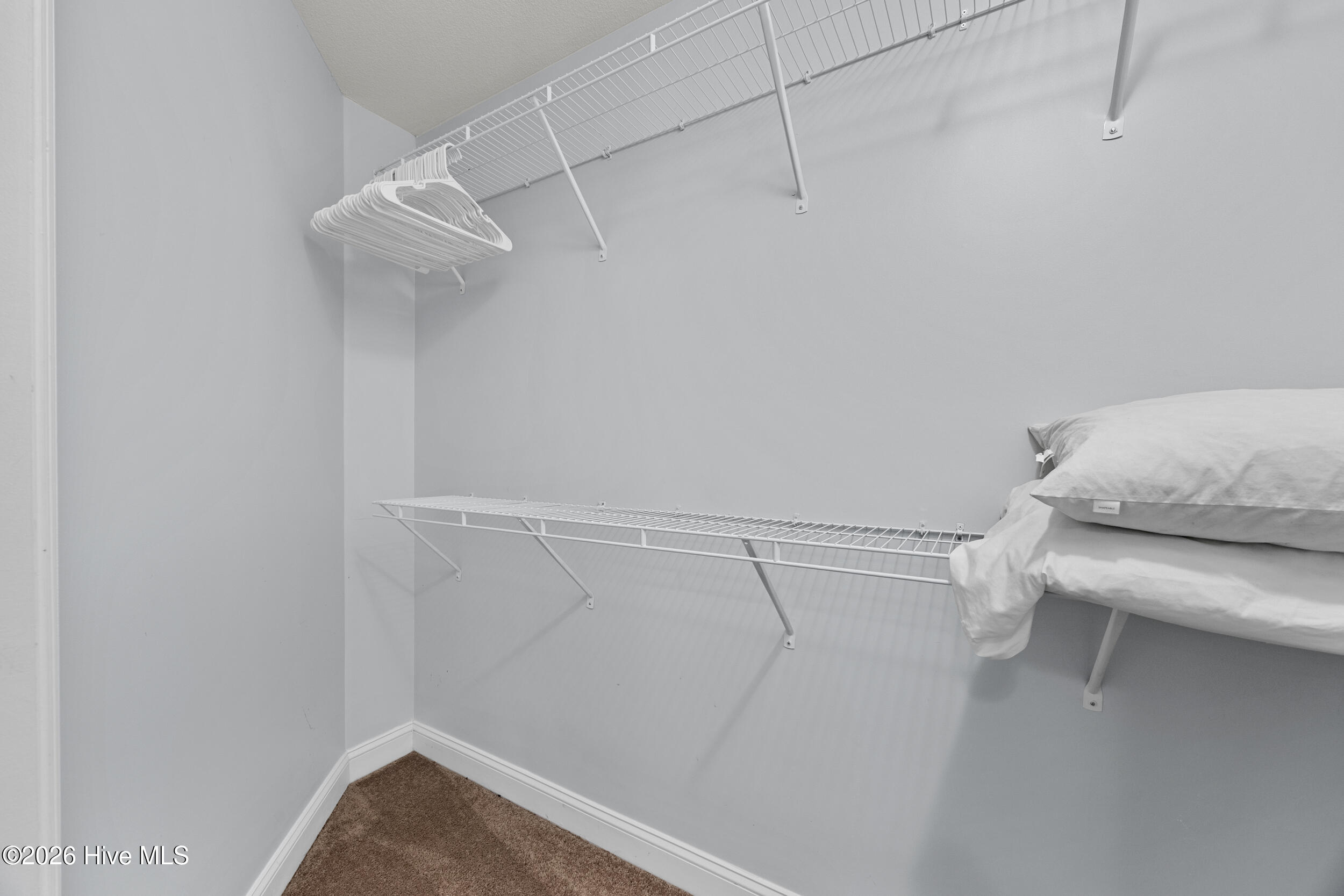 700 Cattail Court Property Photo 28