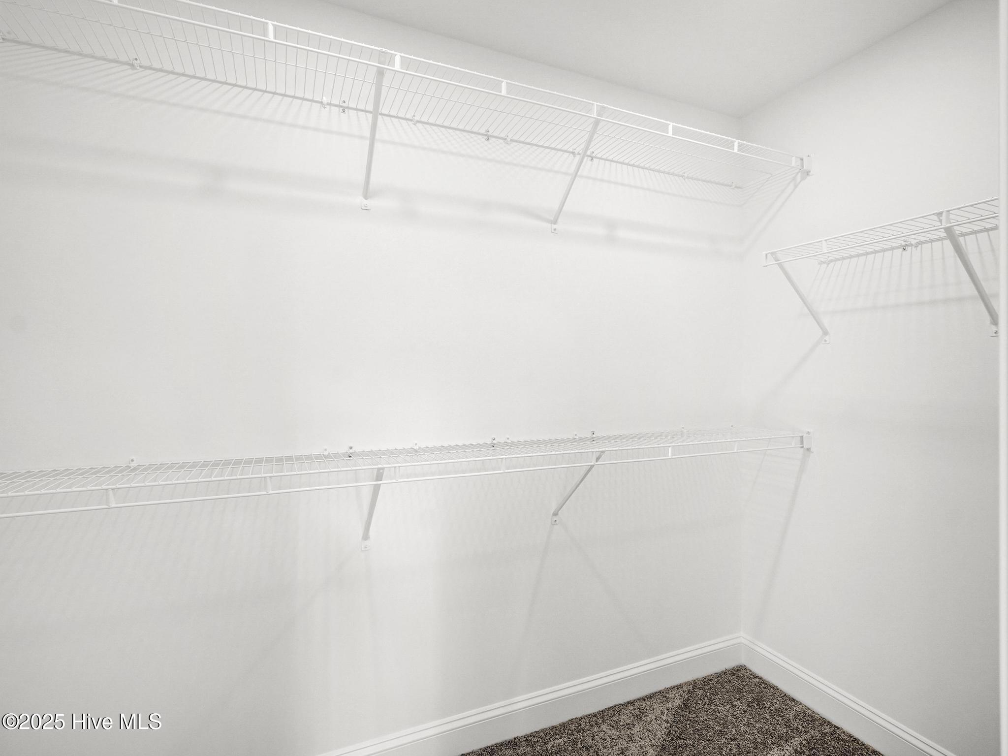 251 Townhome Lane Property Photo 18