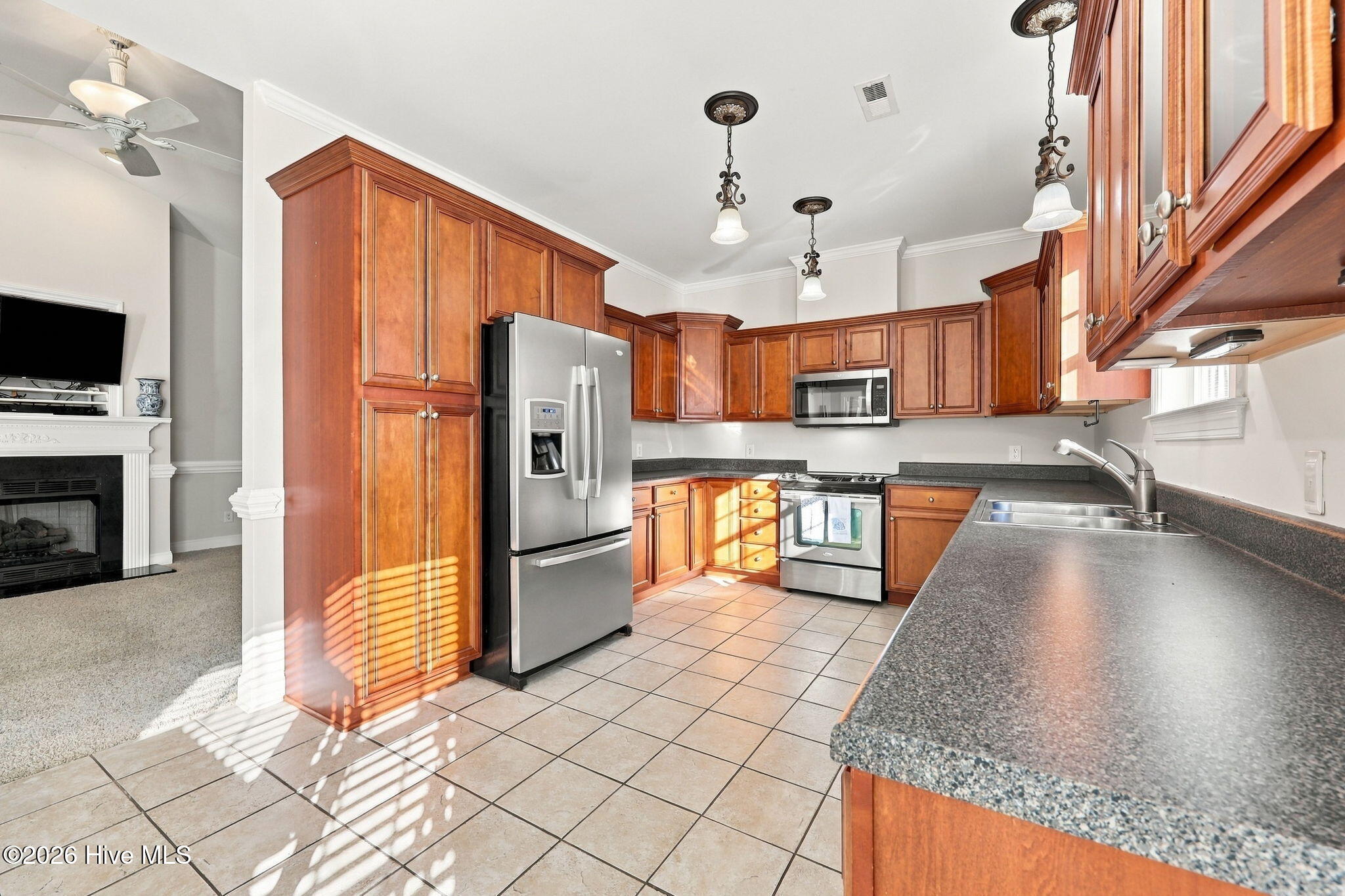1029 Dearborn Court Property Photo 12