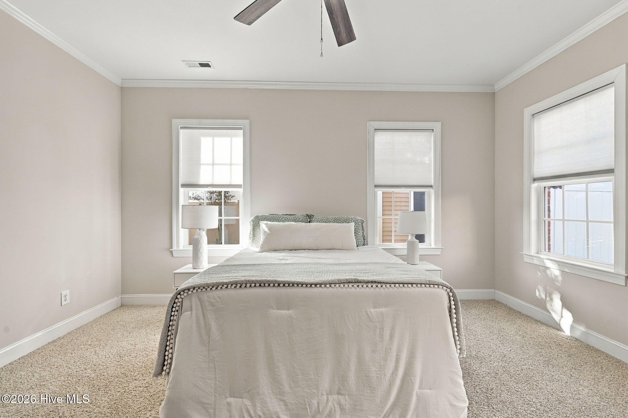 1029 Dearborn Court Property Photo 19