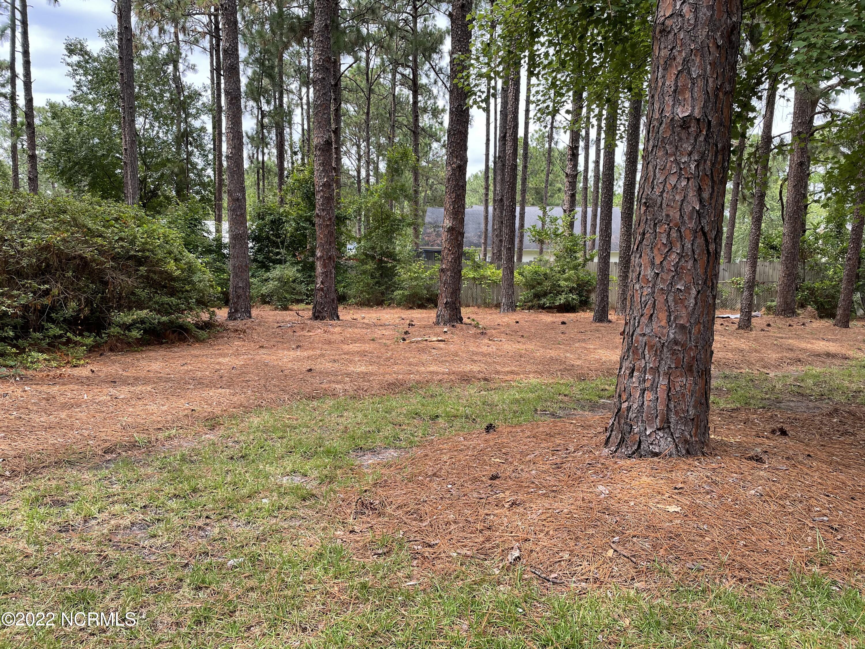 324 John Mcqueen Road Property Photo 15