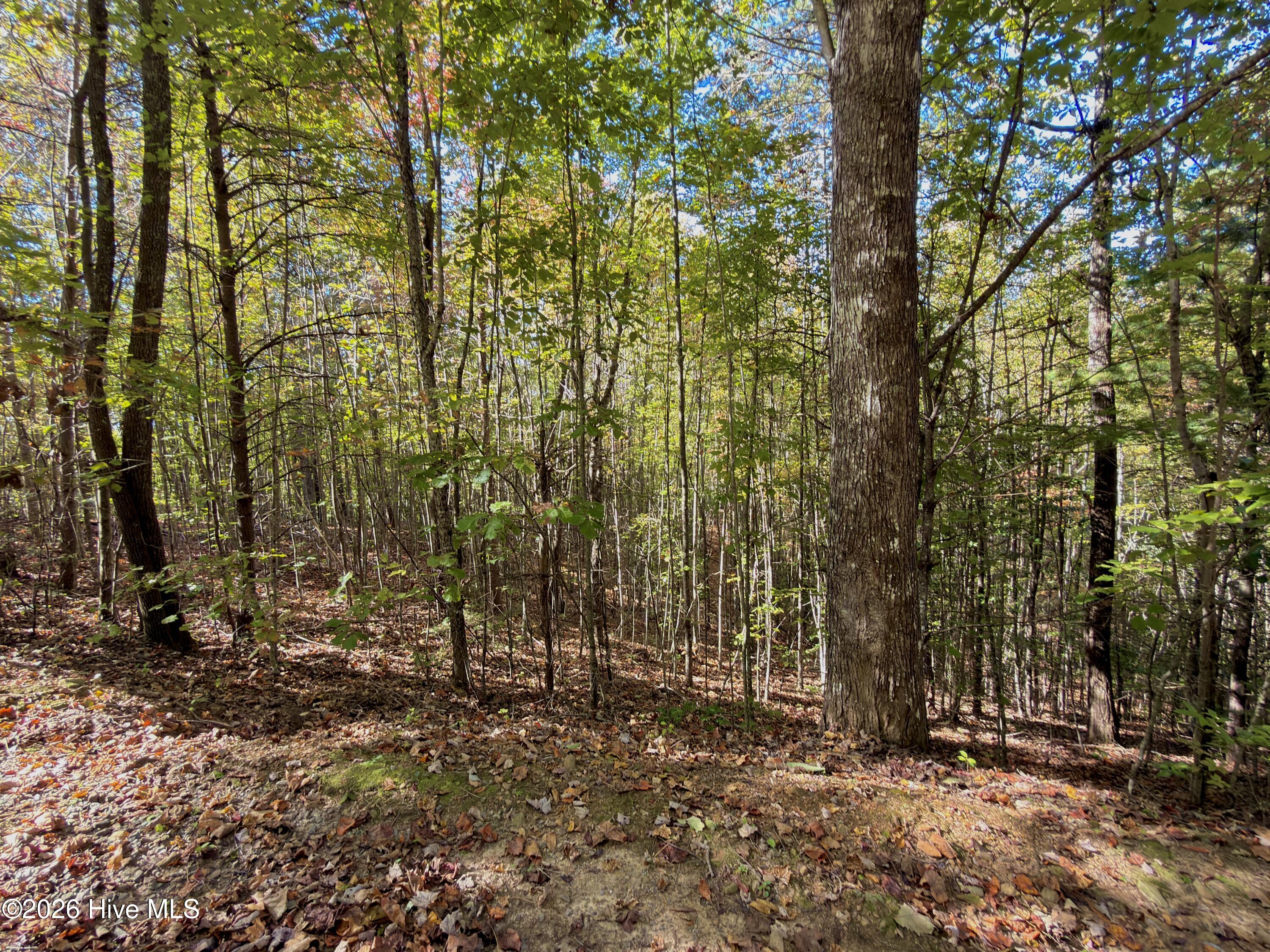00 26 Lookout Point Property Photo 4
