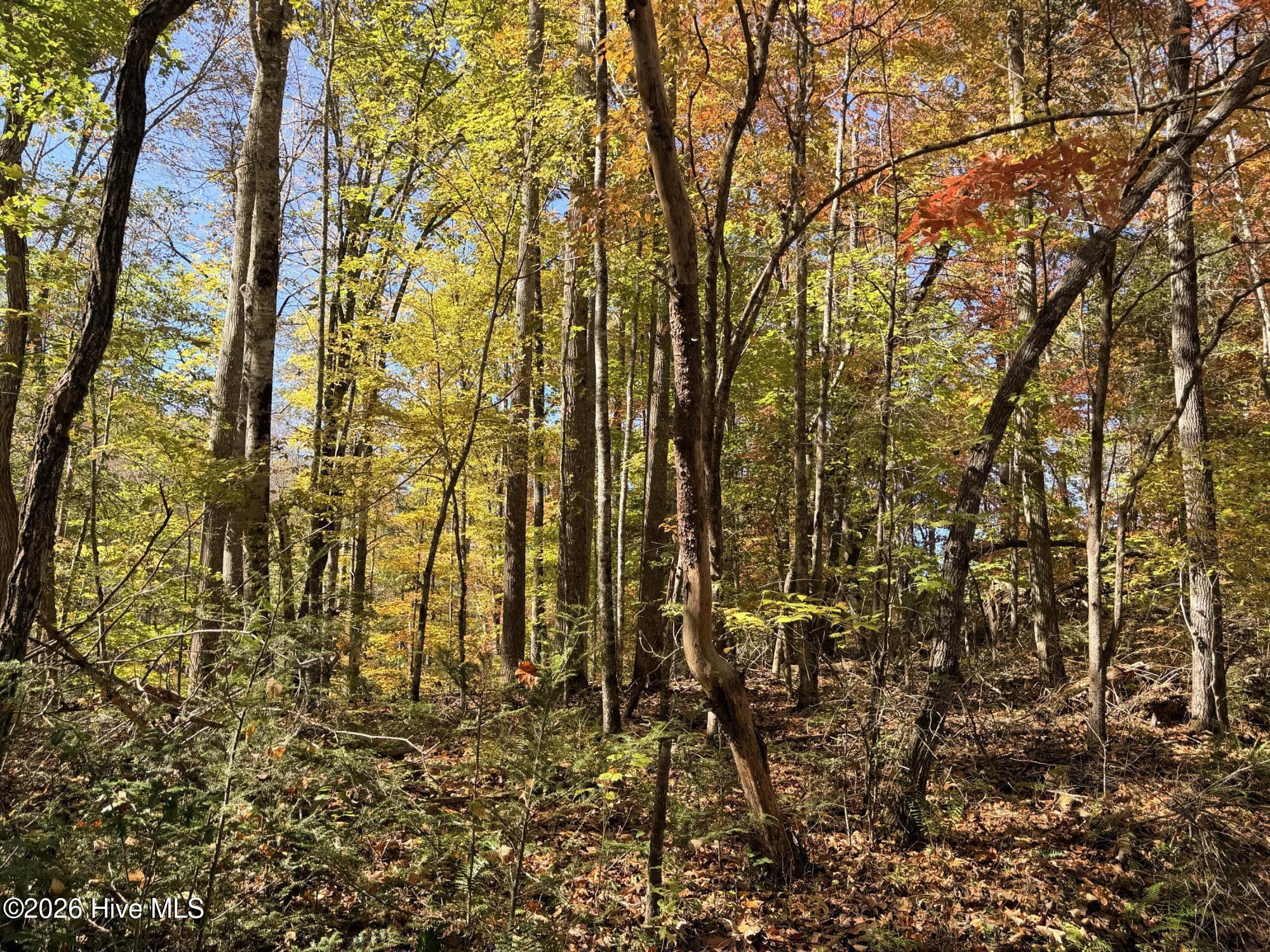 Lot# 6 Rhododendron Drive Drive Property Photo 1