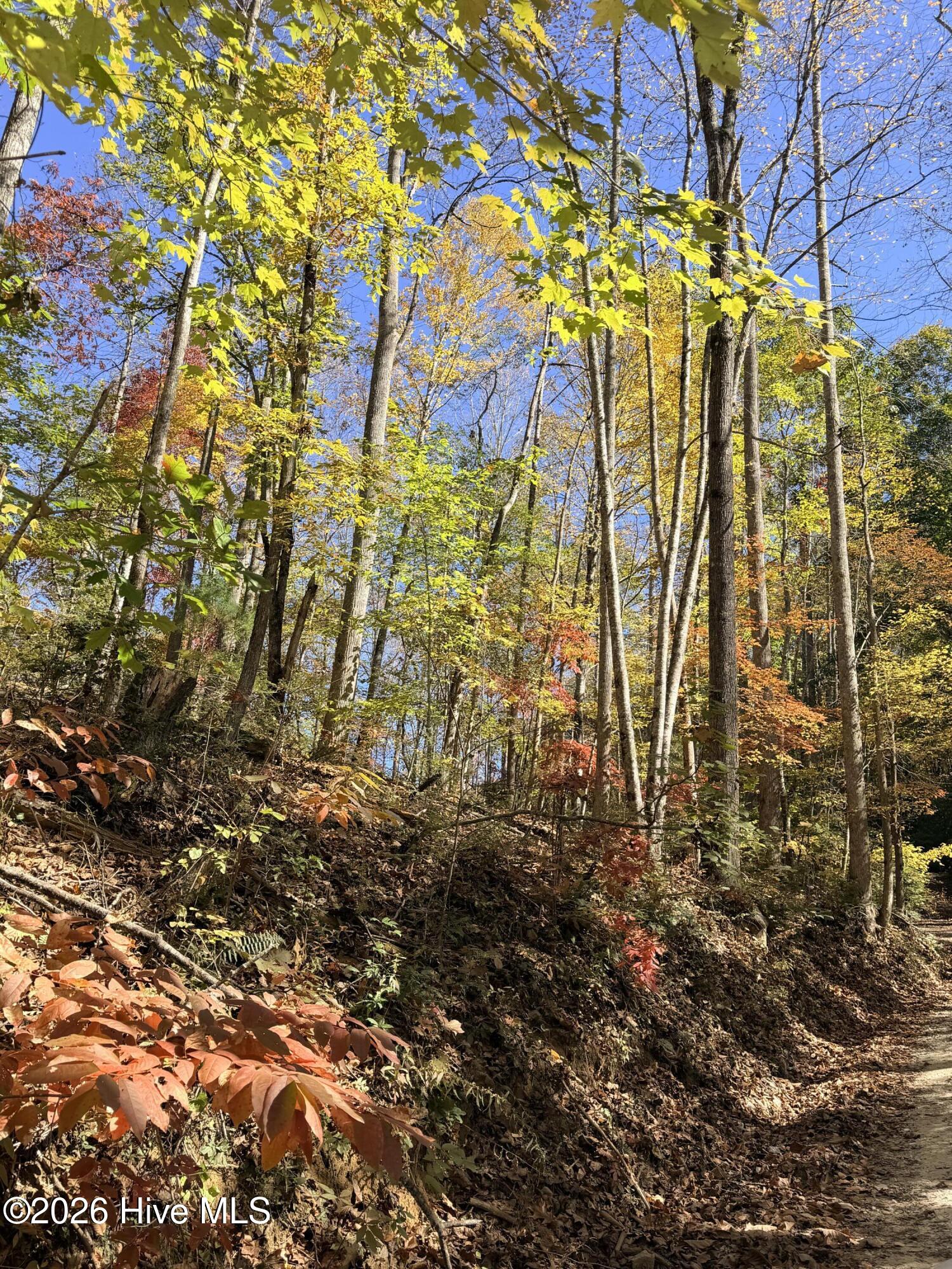 Lot# 6 Rhododendron Drive Drive Property Photo 2