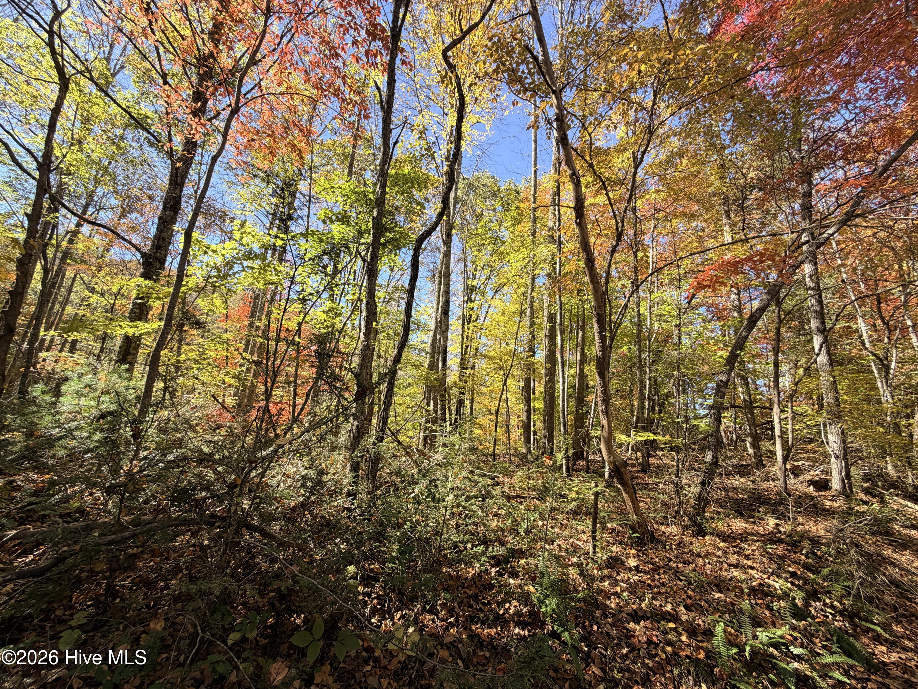 Lot# 6 Rhododendron Drive Drive Property Photo 3