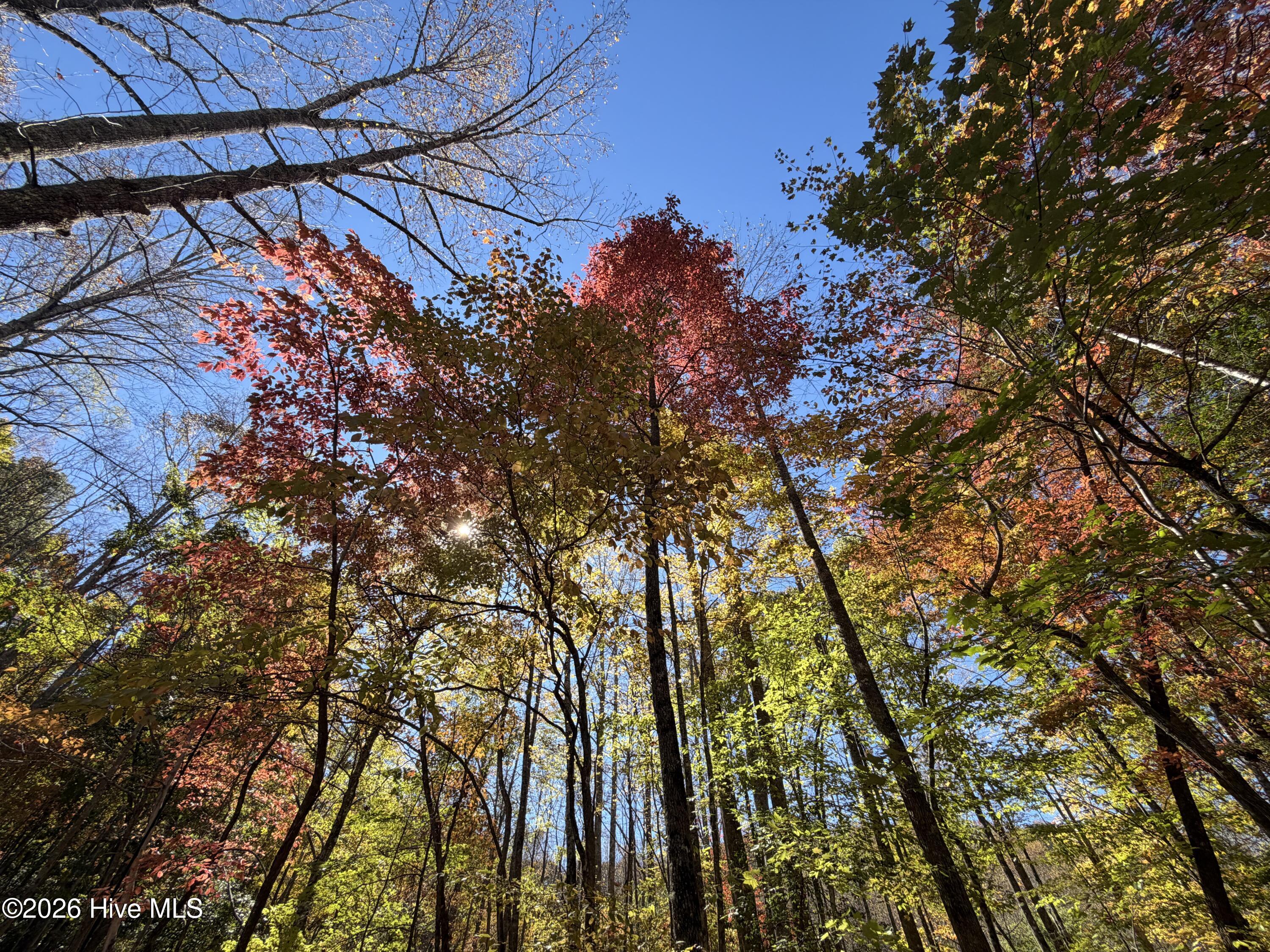 Lot# 6 Rhododendron Drive Drive Property Photo 4