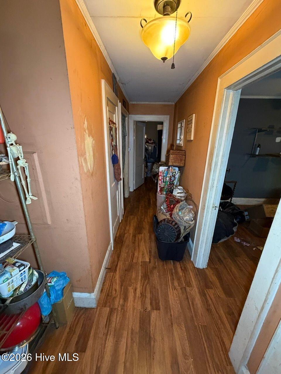 205 Rollins Avenue Property Photo 19