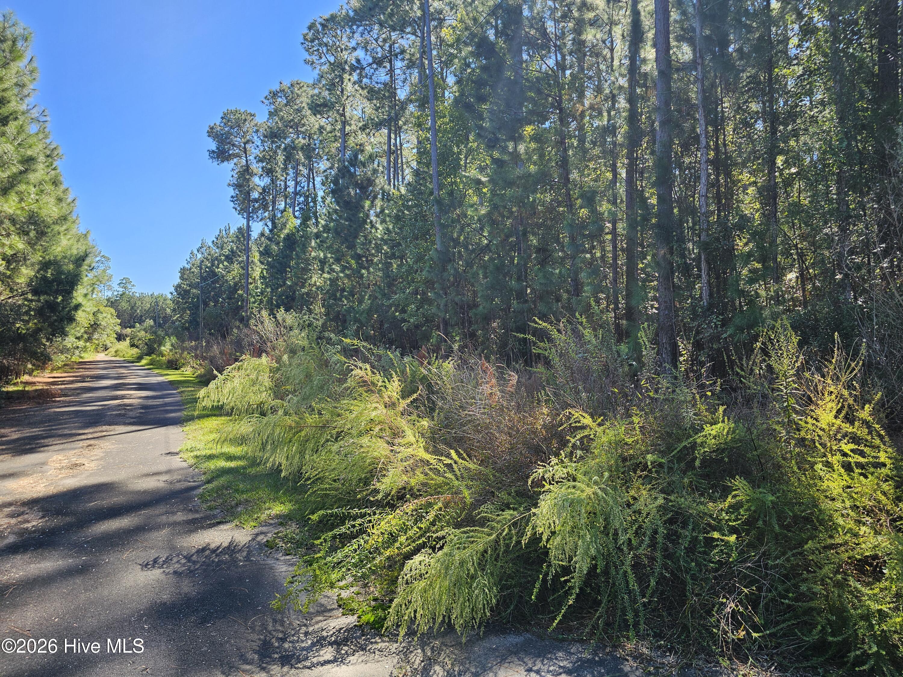 Lot 1 1 Marsh Creek Lane Property Photo 13