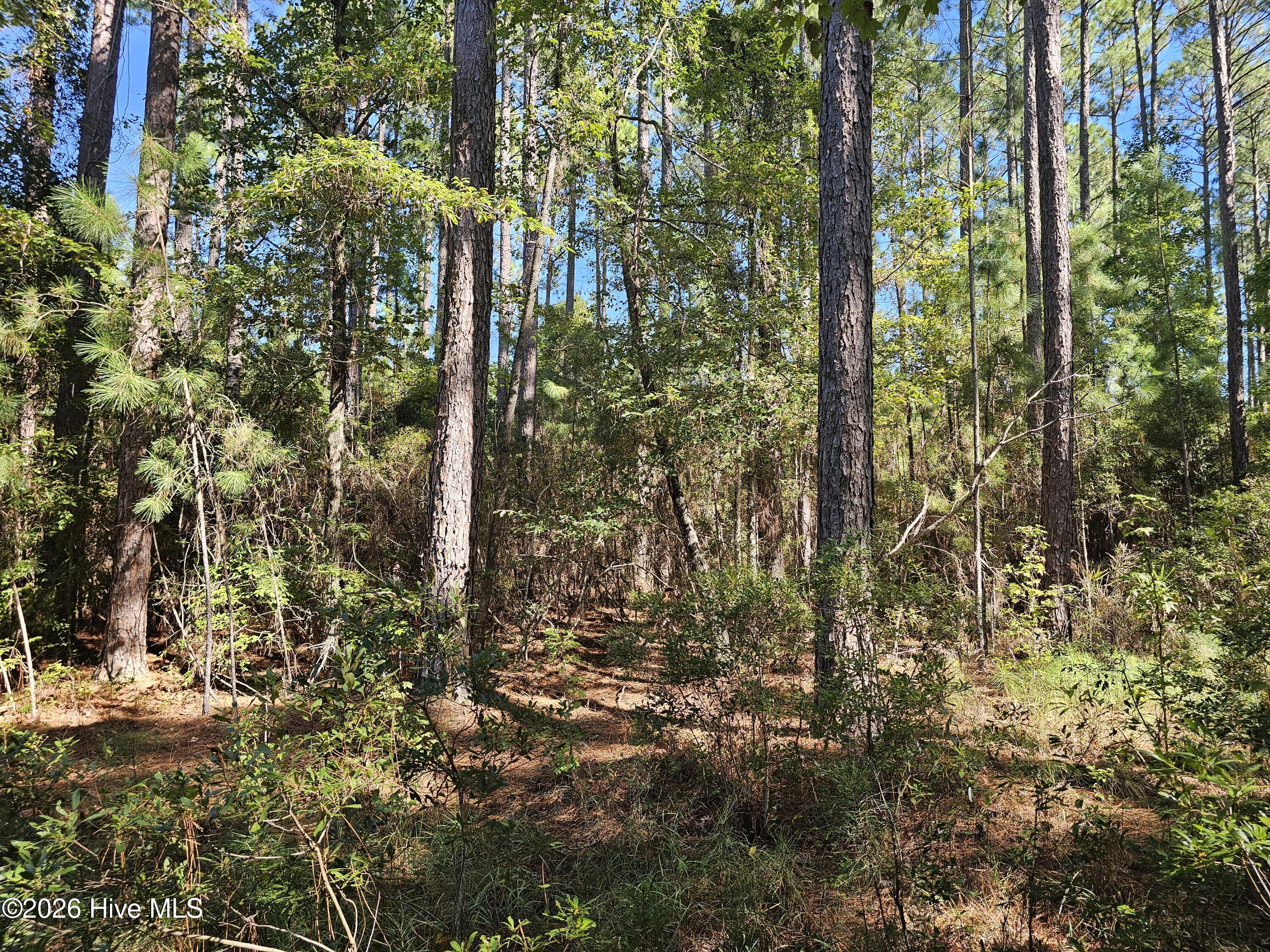 Lot 1 1 Marsh Creek Lane Property Photo 15