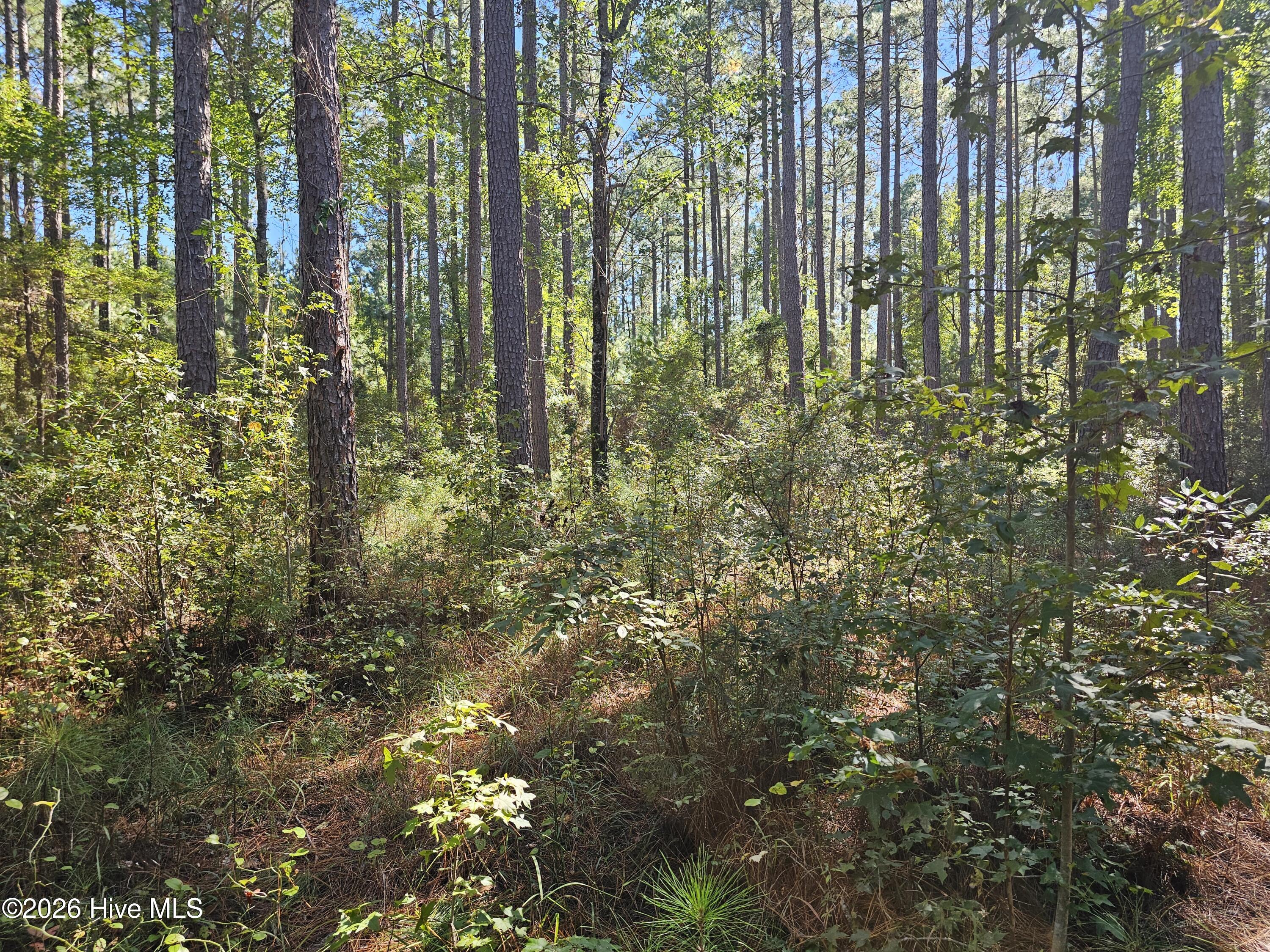 Lot 1 1 Marsh Creek Lane Property Photo 16