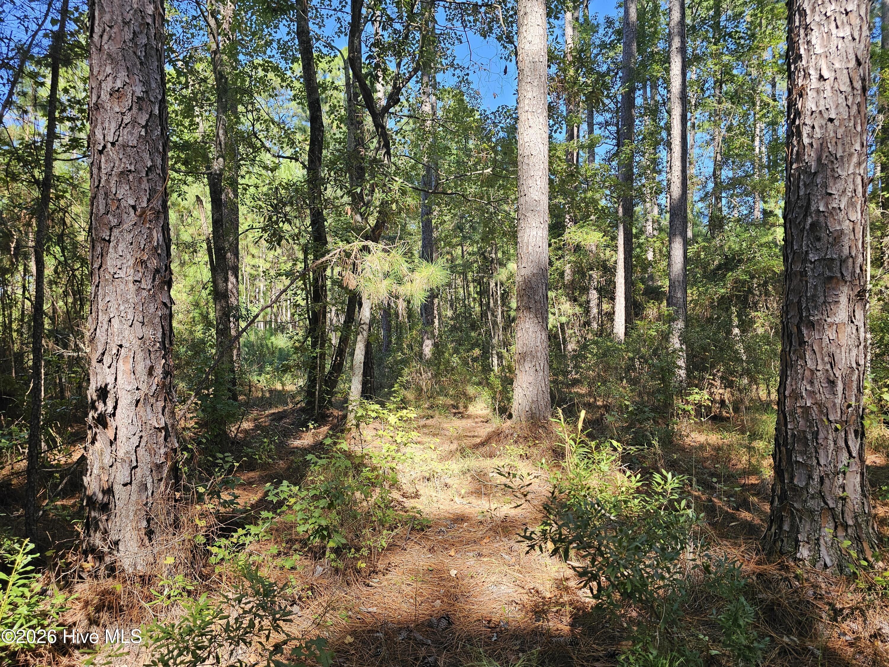 Lot 1 1 Marsh Creek Lane Property Photo 17