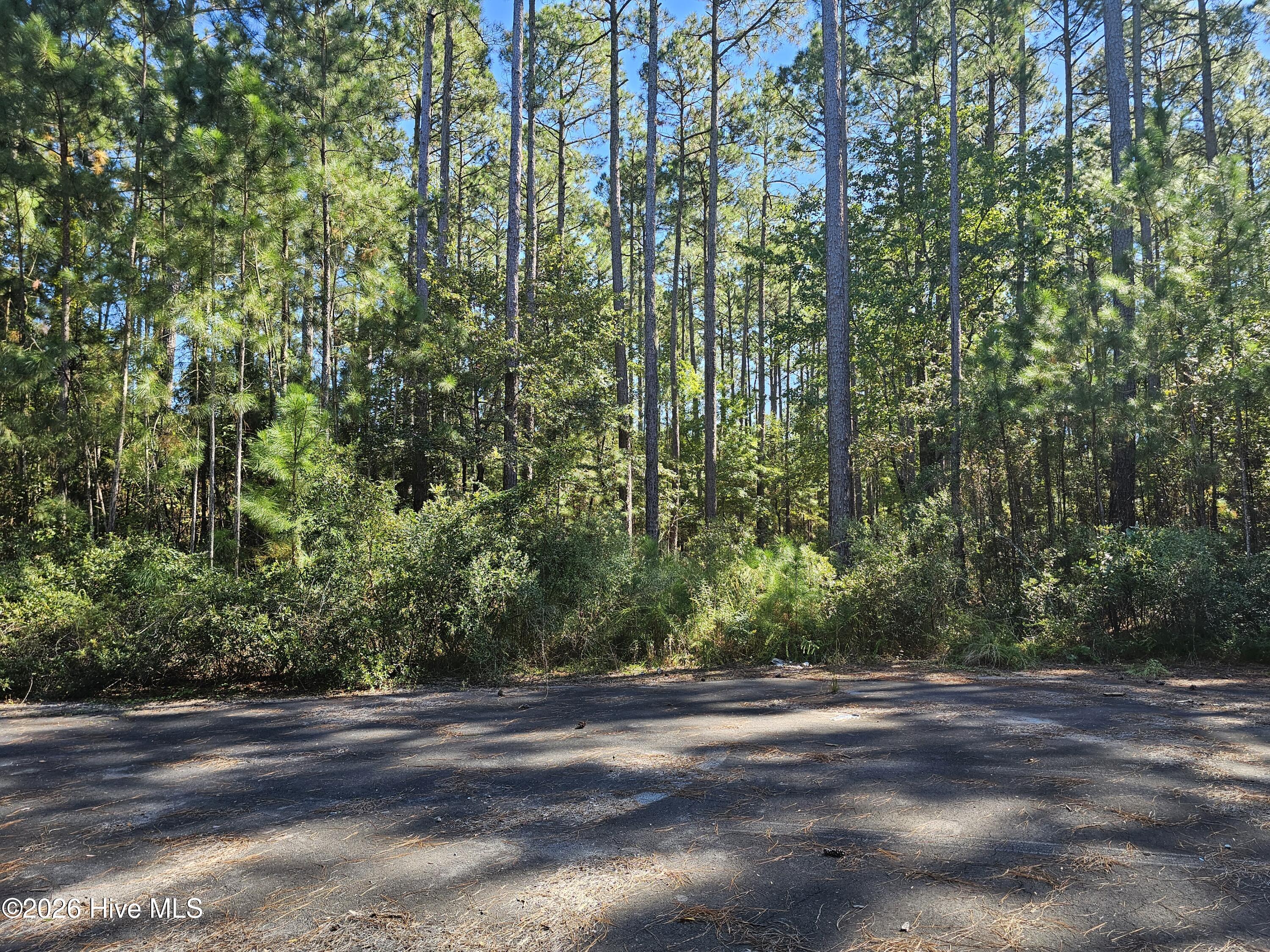 Lot 1 1 Marsh Creek Lane Property Photo 18