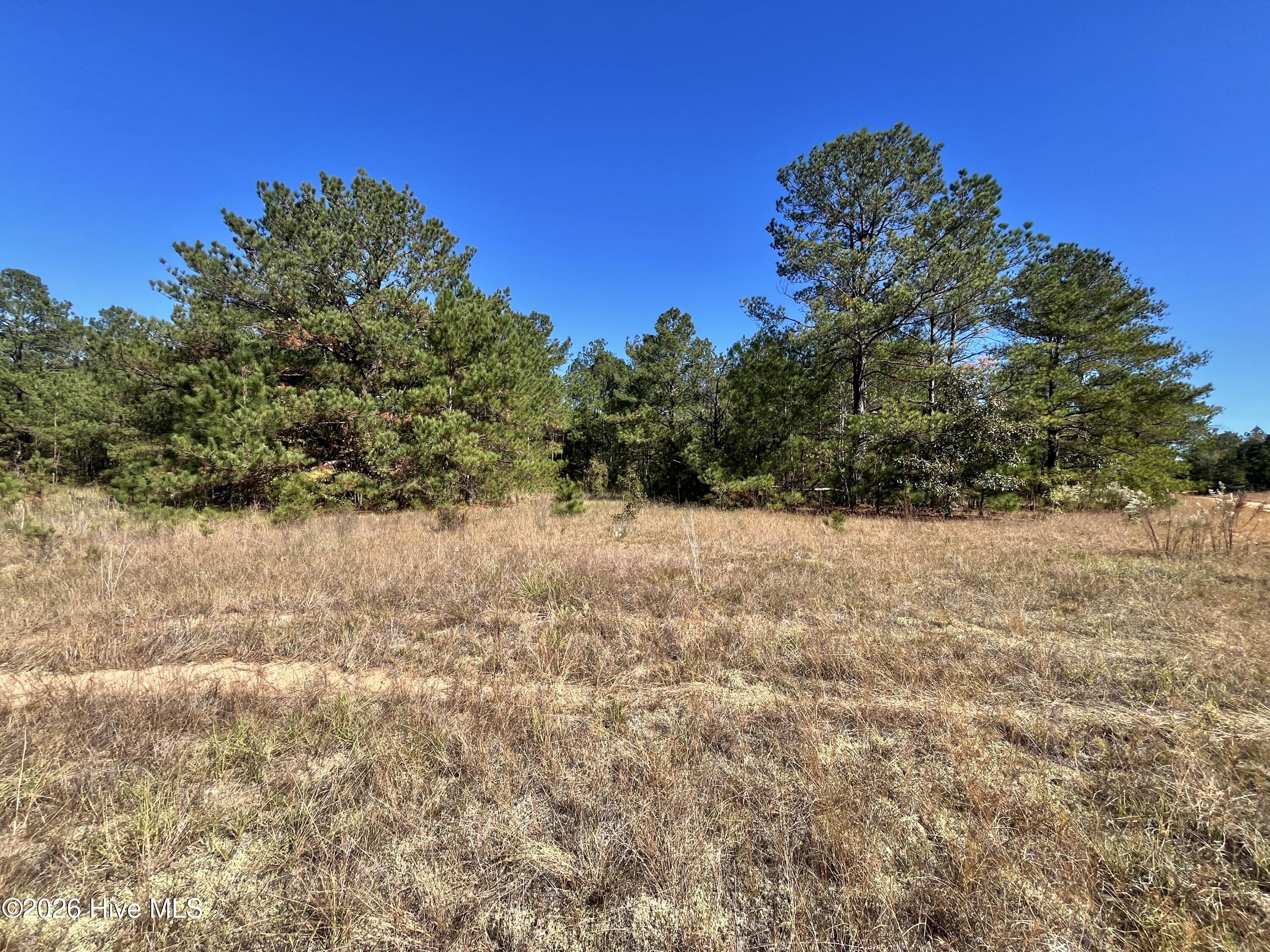 Lot 9 Jasper Davis Road Property Photo 1