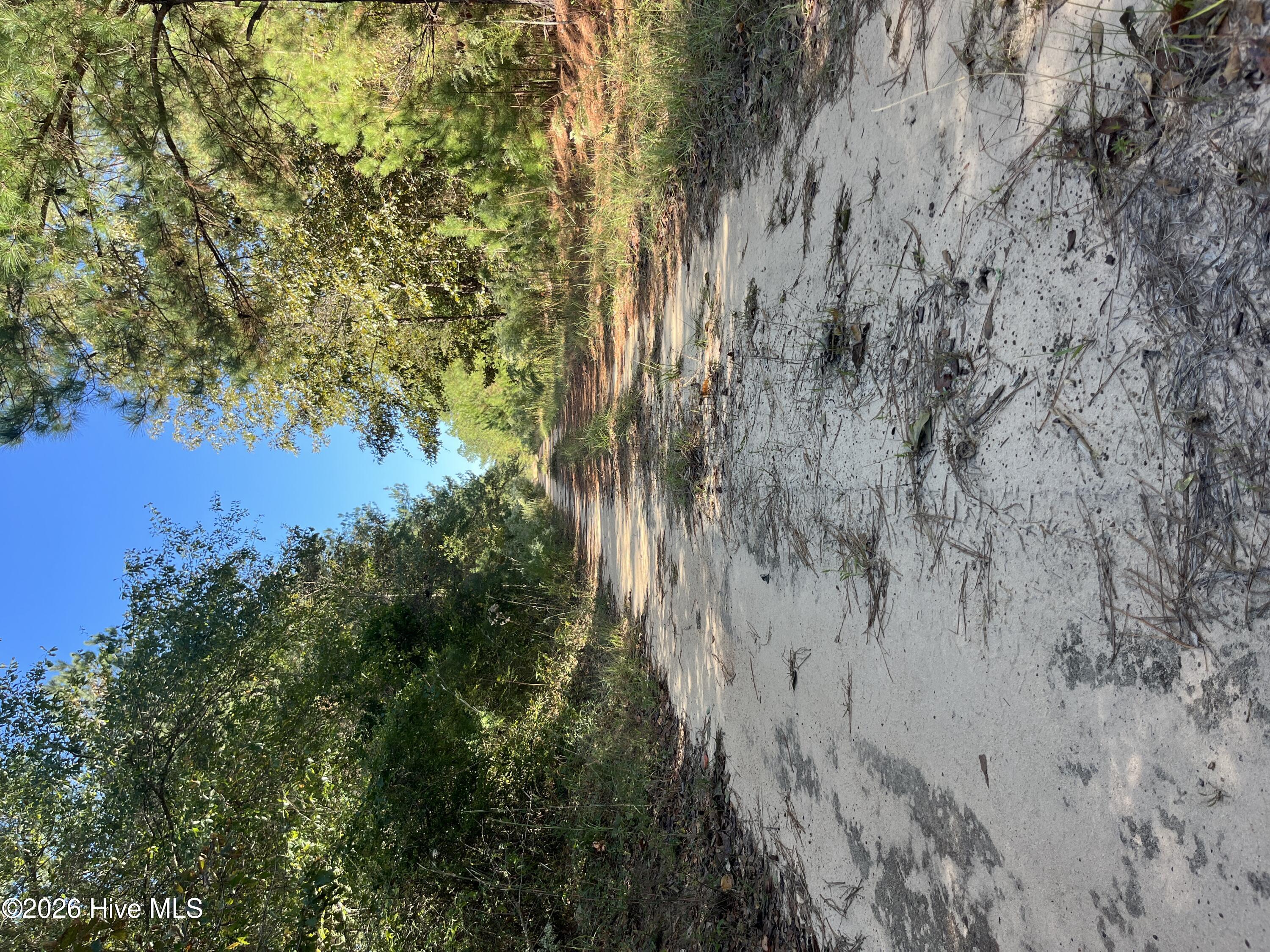Lot 9 Jasper Davis Road Property Photo 2