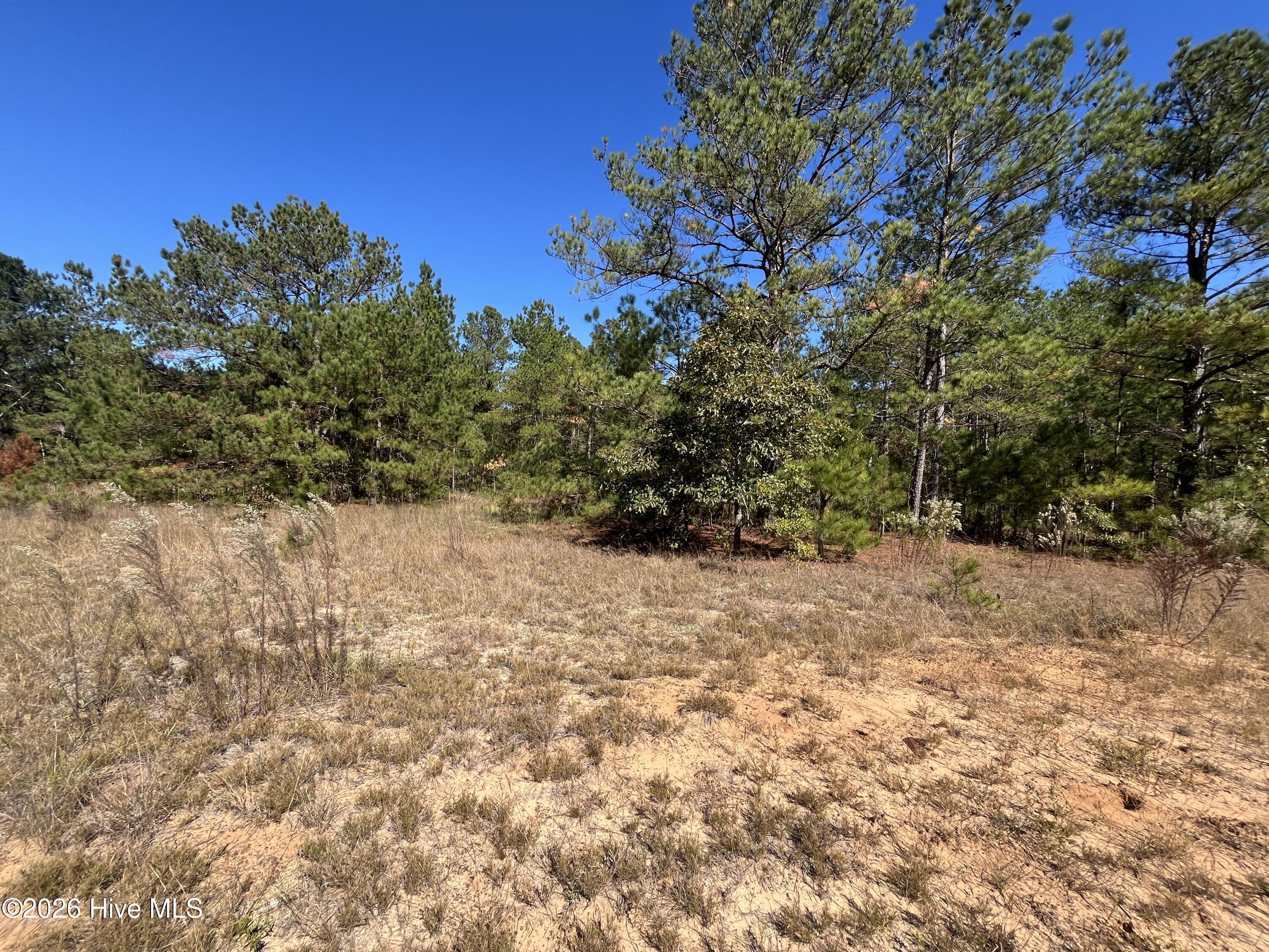 Lot 9 Jasper Davis Road Property Photo 3