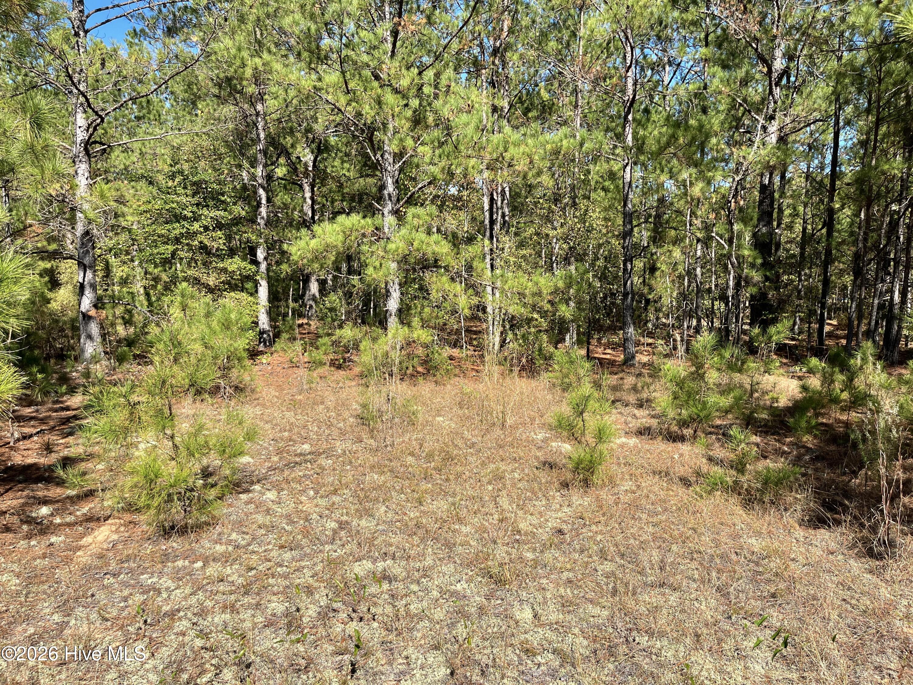 Lot 9 Jasper Davis Road Property Photo 6