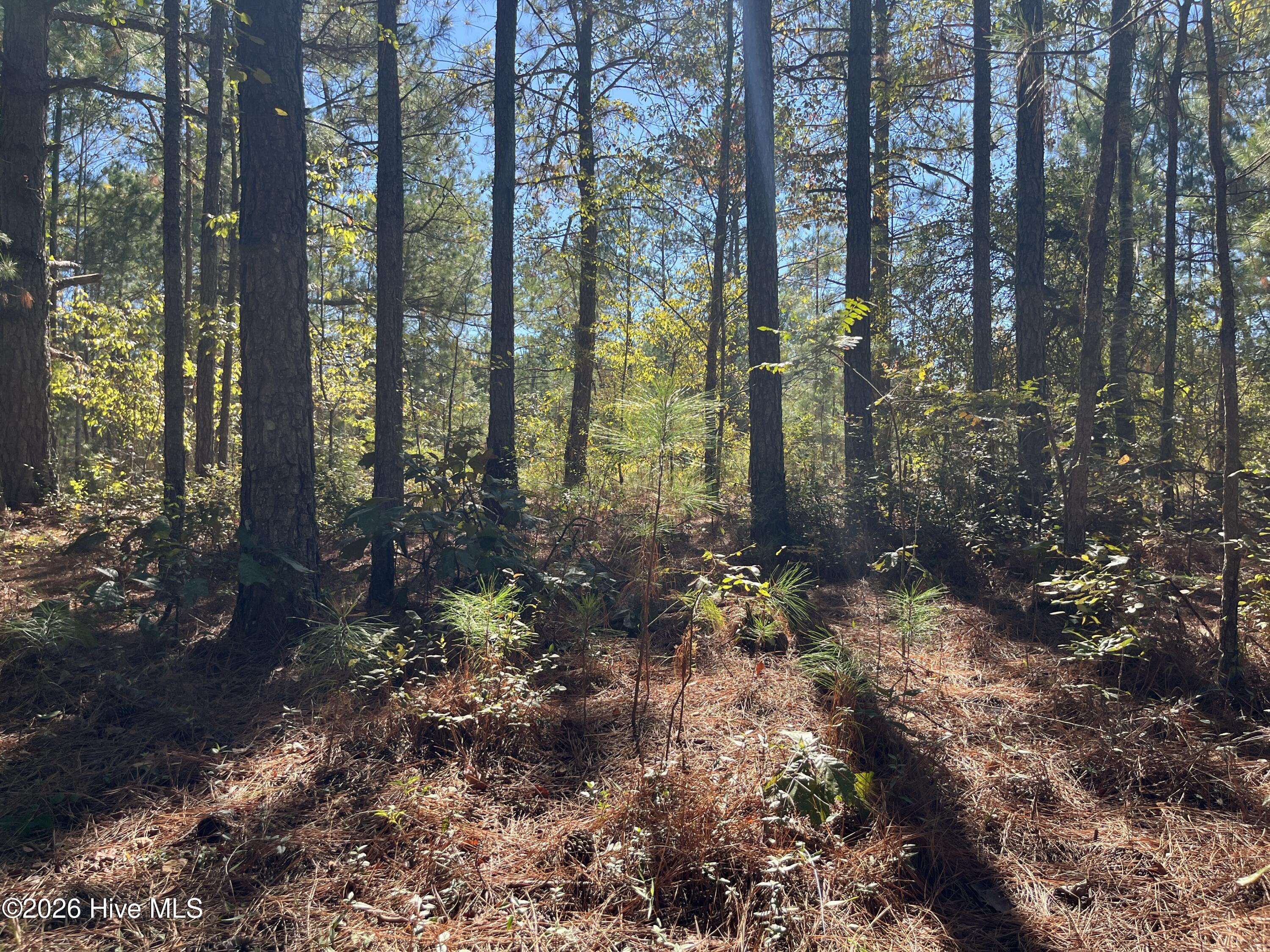 Lot 9 Jasper Davis Road Property Photo 7