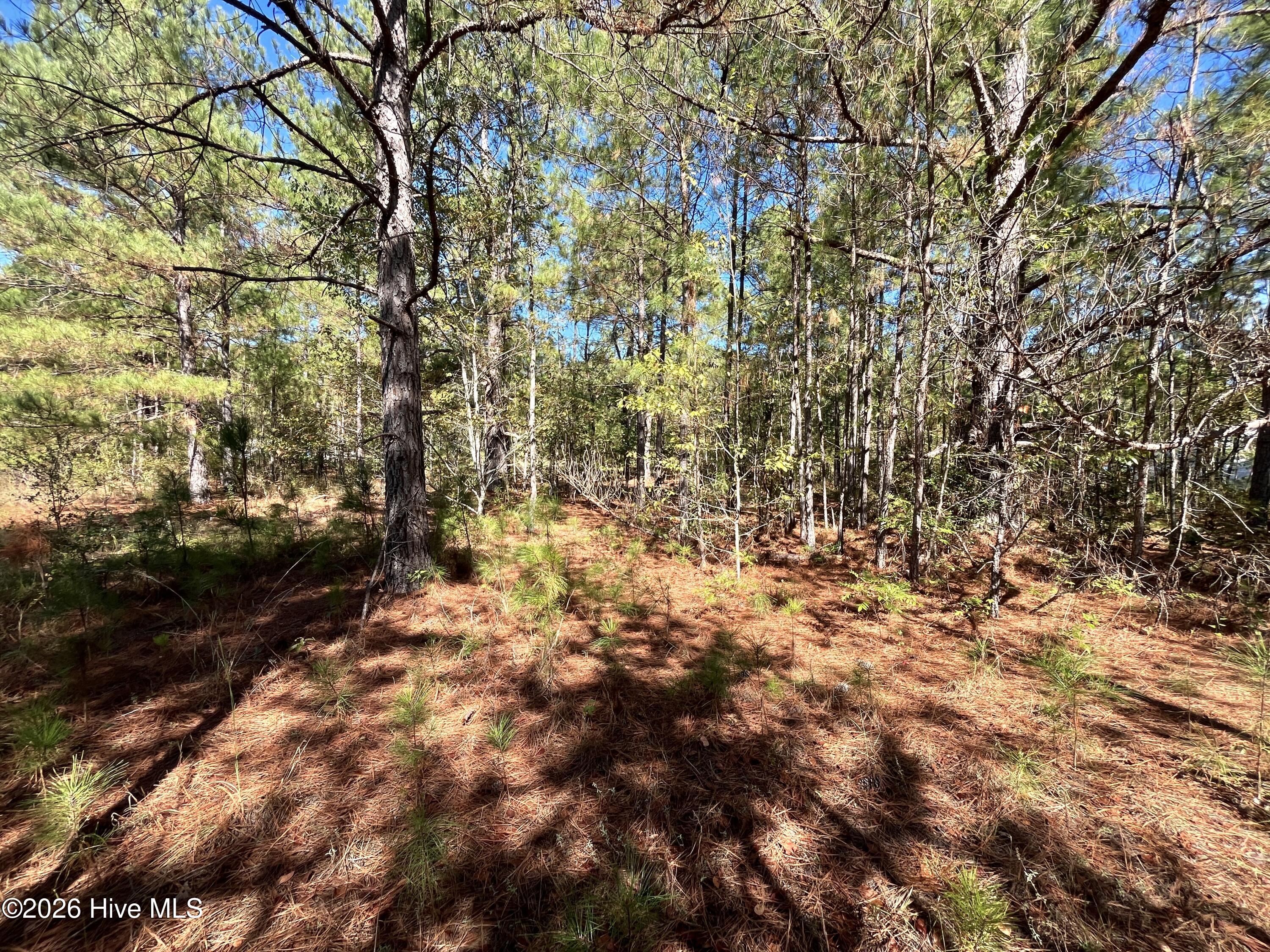 Lot 9 Jasper Davis Road Property Photo 8