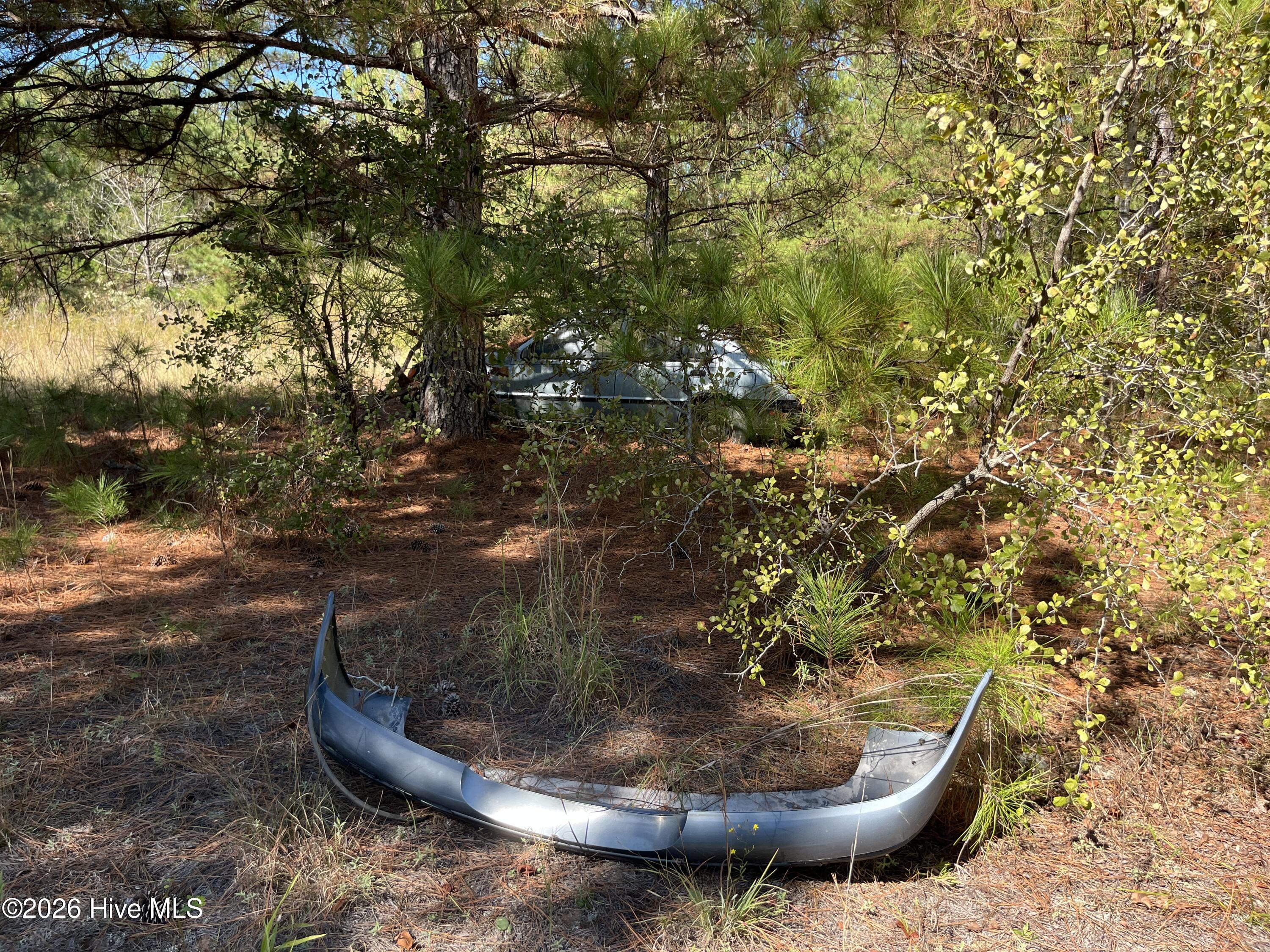 Lot 9 Jasper Davis Road Property Photo 11