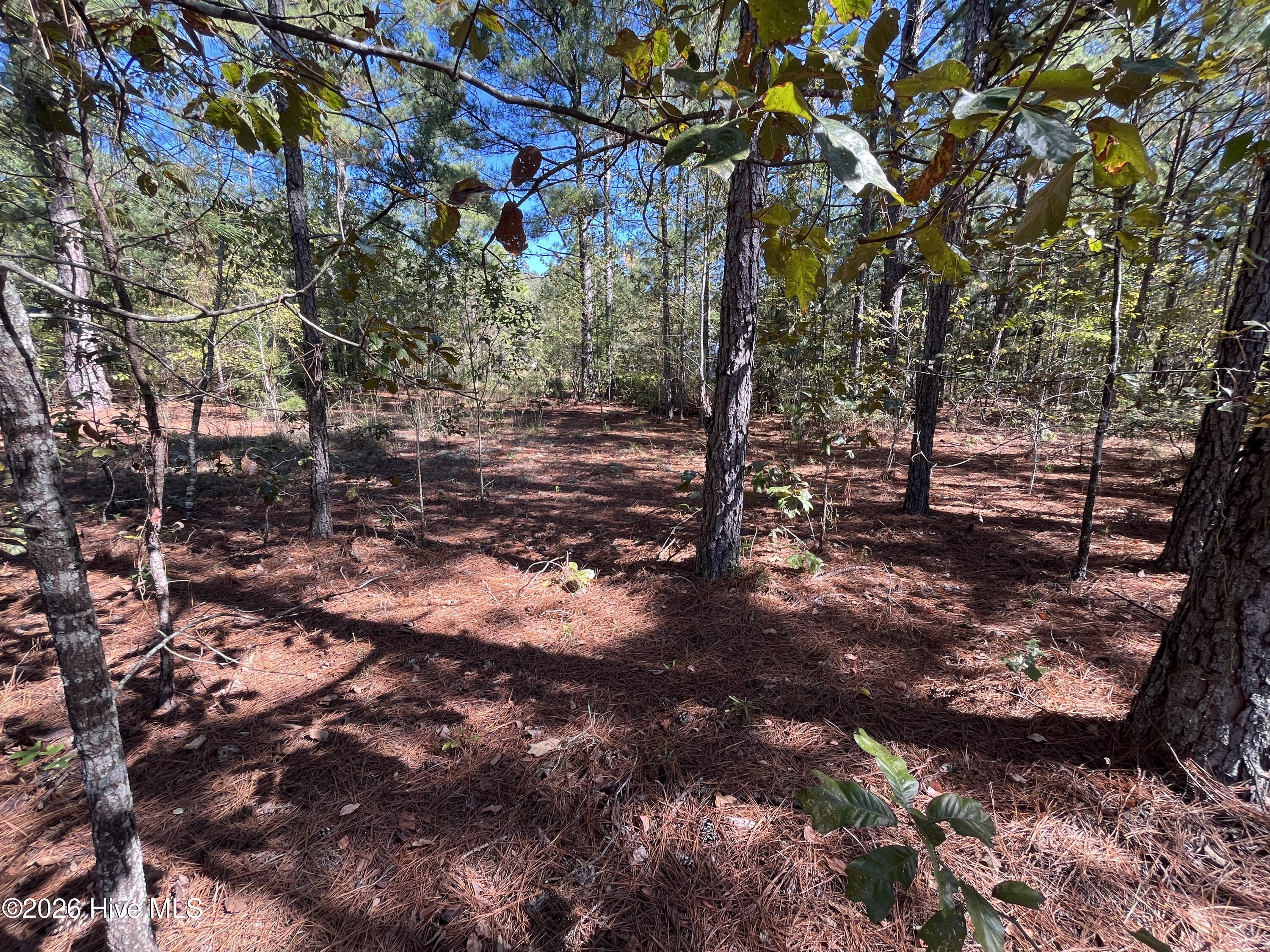 Lot 9 Jasper Davis Road Property Photo 12
