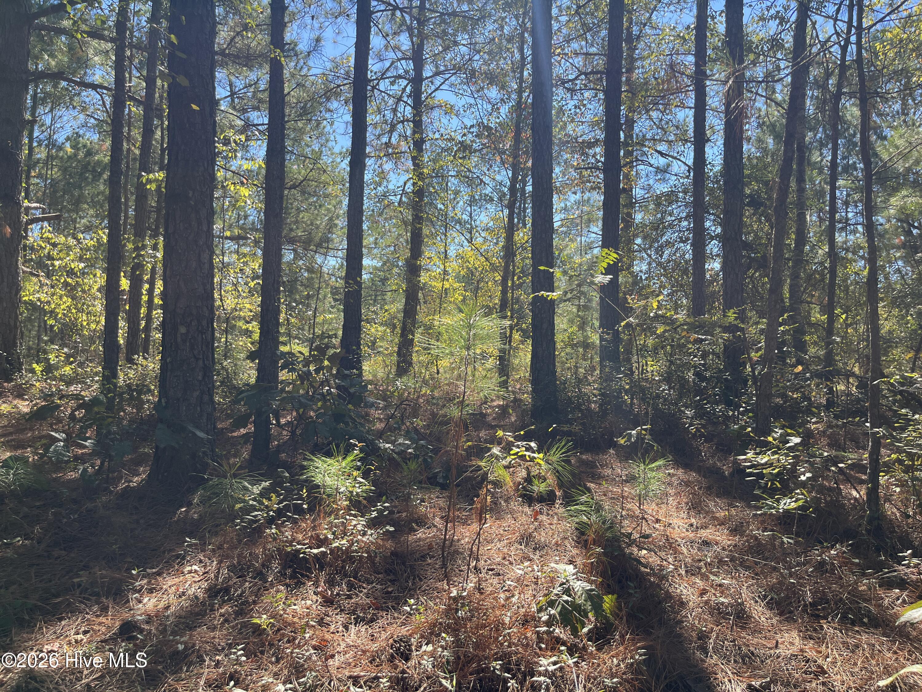 Lot 9 Jasper Davis Road Property Photo 14