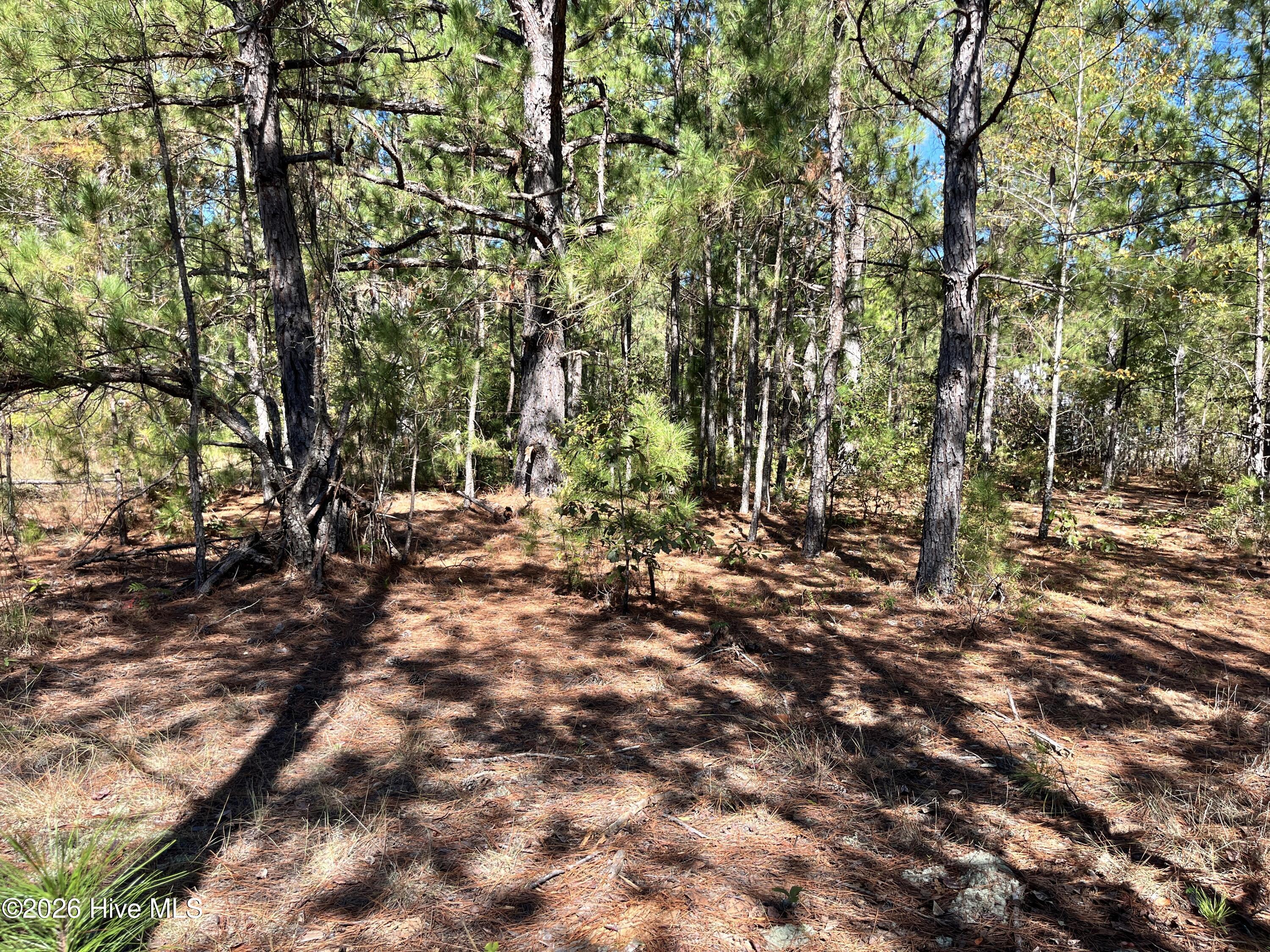 Lot 9 Jasper Davis Road Property Photo 15