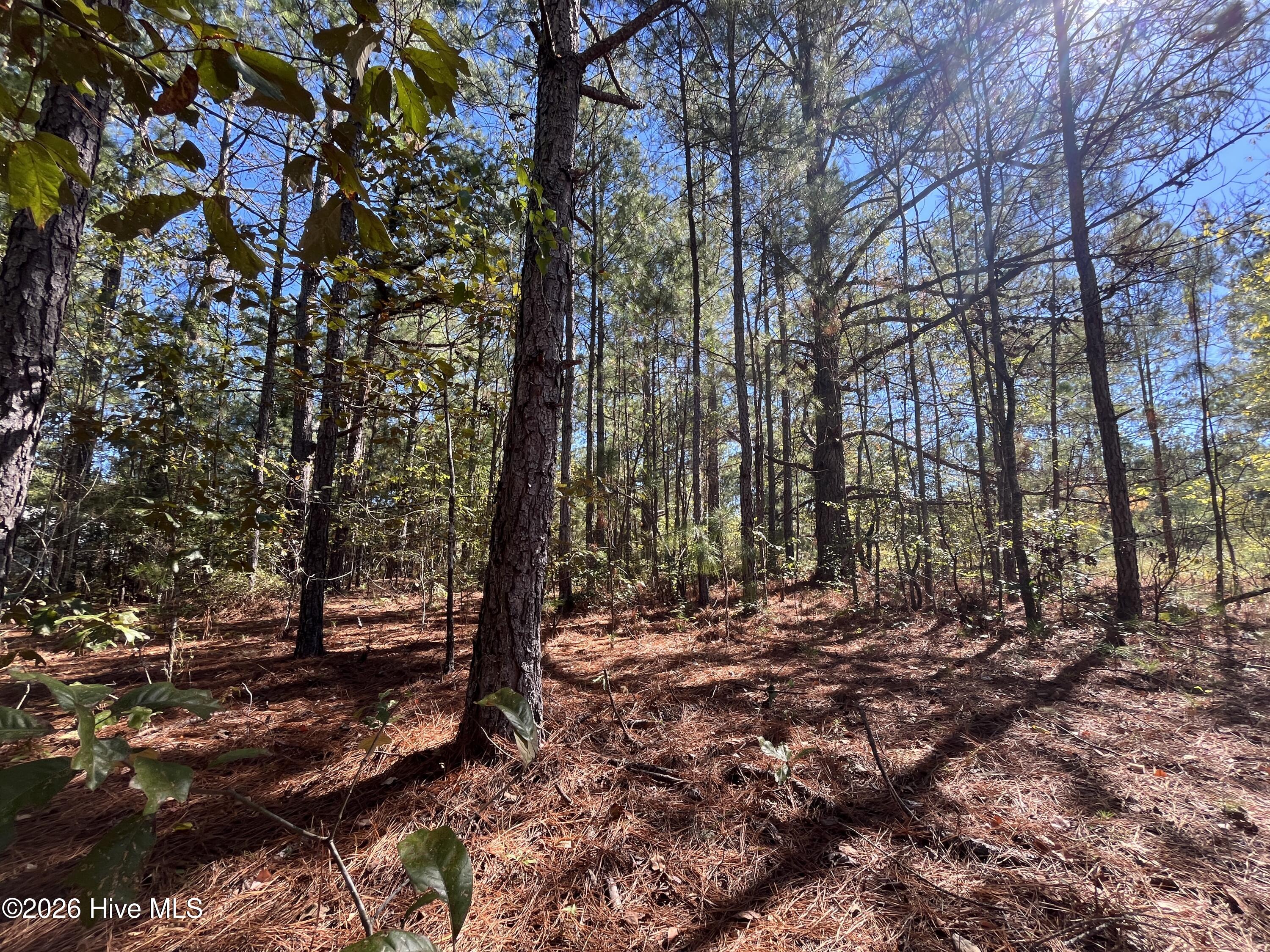 Lot 9 Jasper Davis Road Property Photo 16