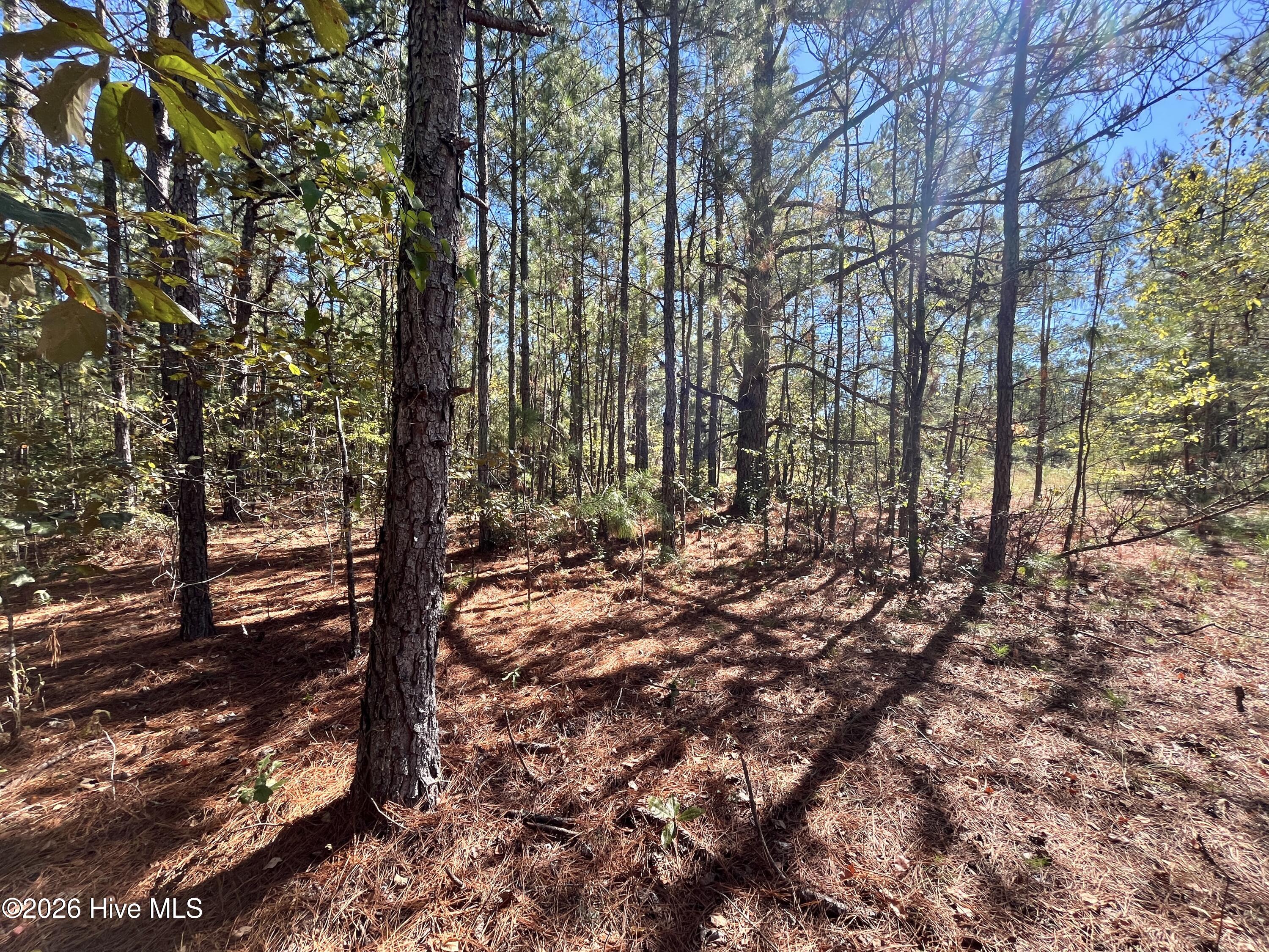 Lot 9 Jasper Davis Road Property Photo 17