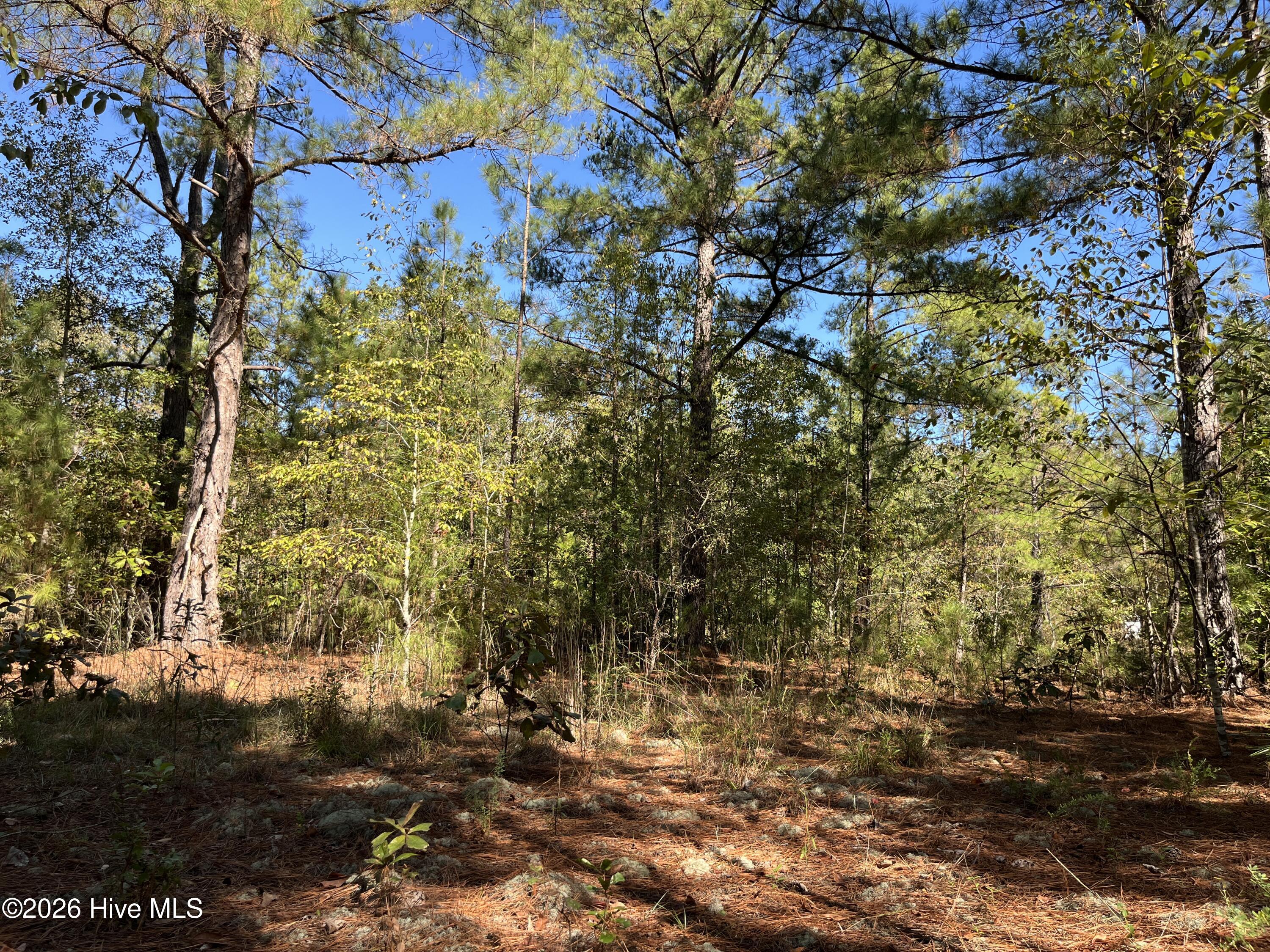 Lot 9 Jasper Davis Road Property Photo 18