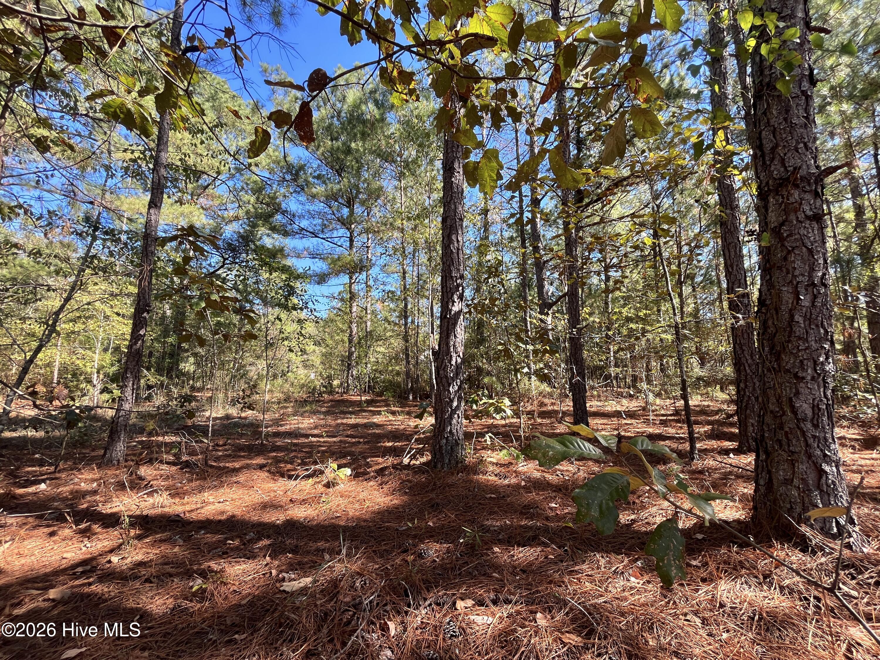 Lot 9 Jasper Davis Road Property Photo 19