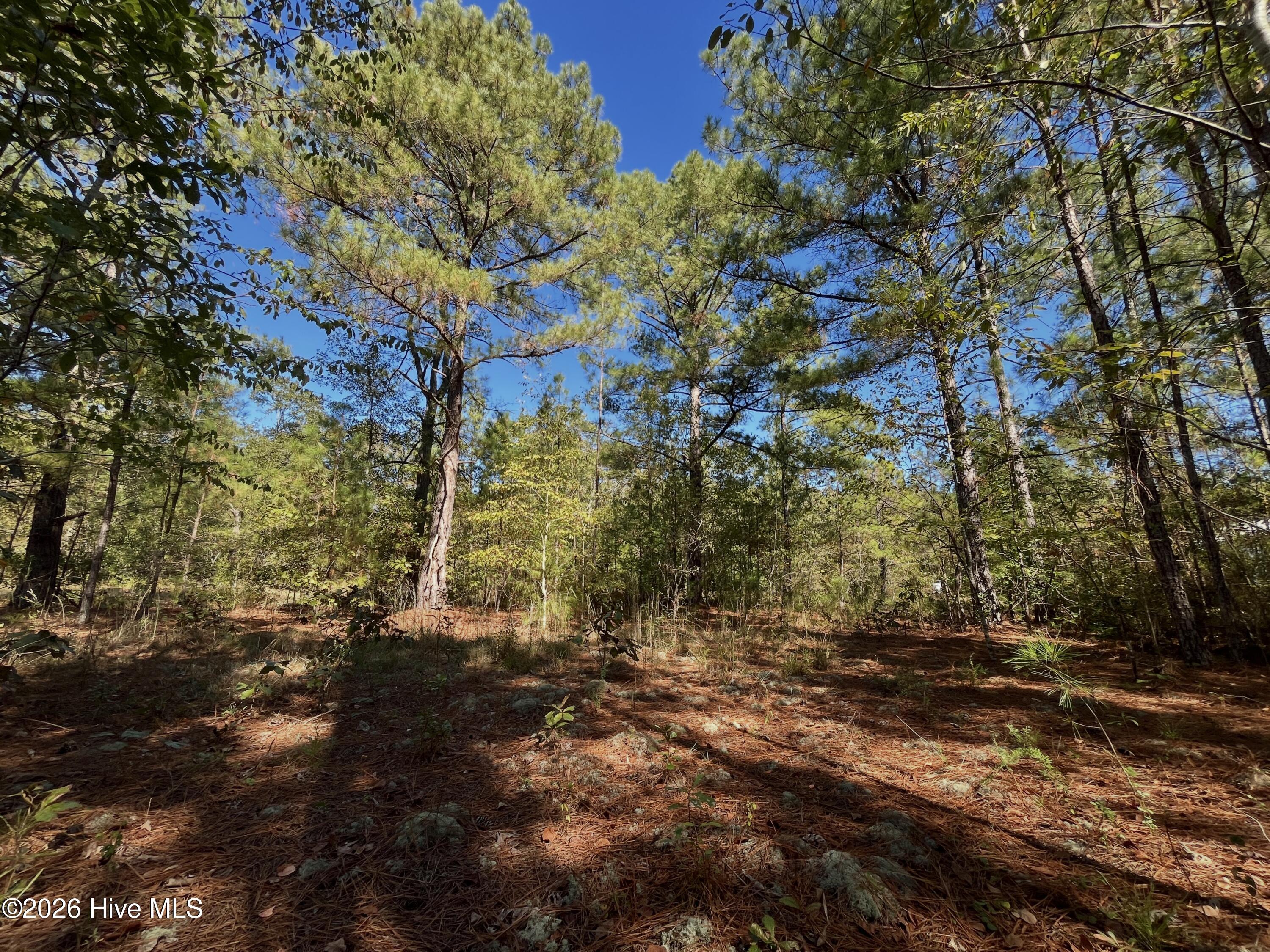 Lot 9 Jasper Davis Road Property Photo 20