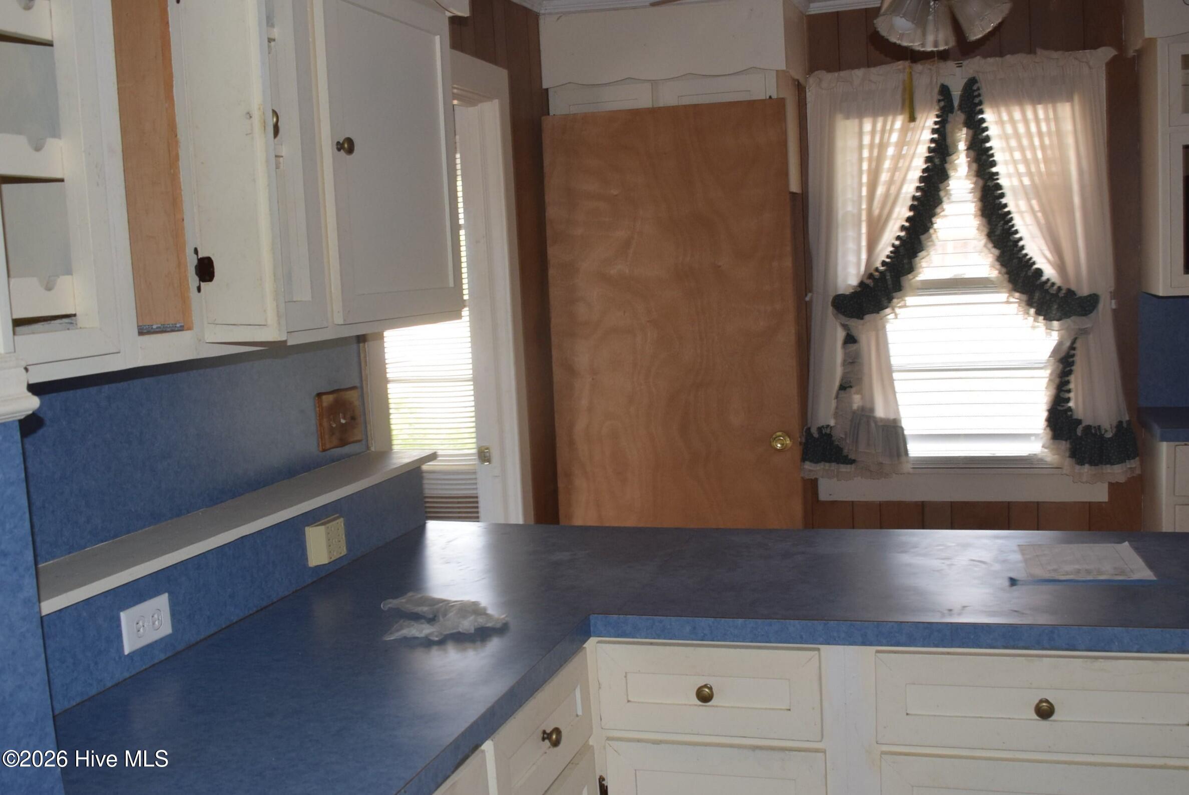 294 Cape Lookout Drive Property Photo 5
