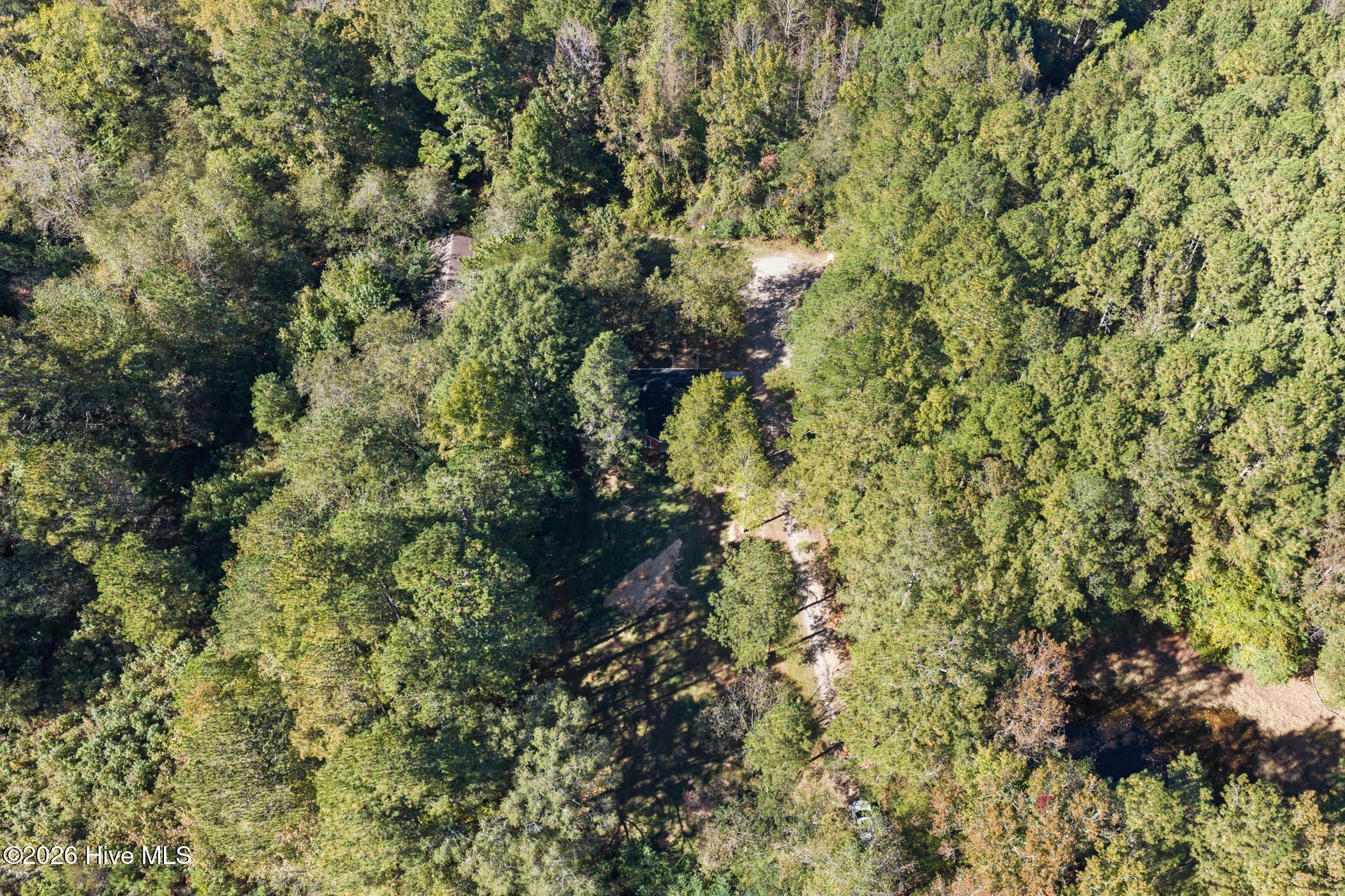 1491 Sandhill Game Mgt Road Property Photo 31