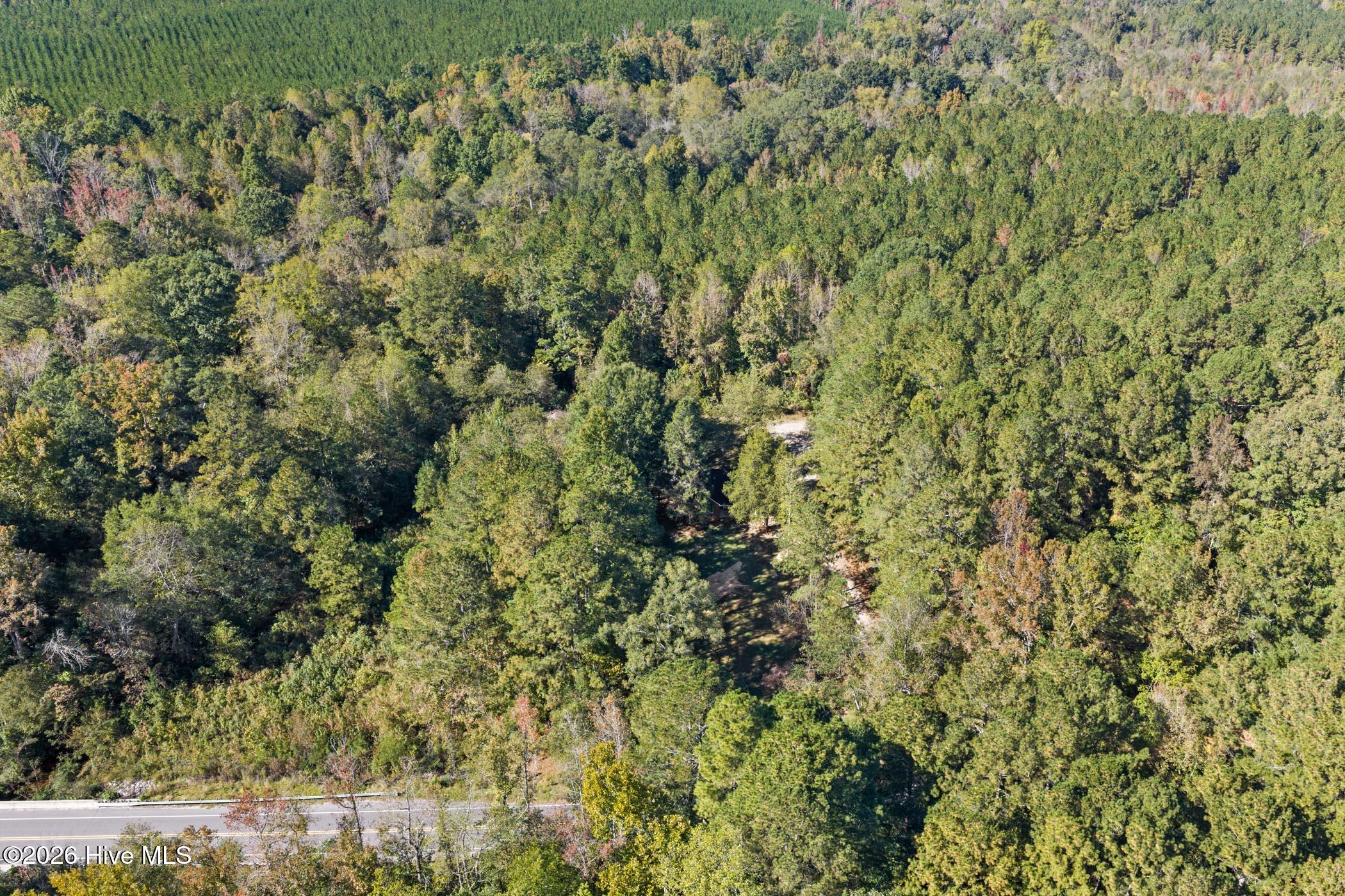 1491 Sandhill Game Mgt Road Property Photo 37