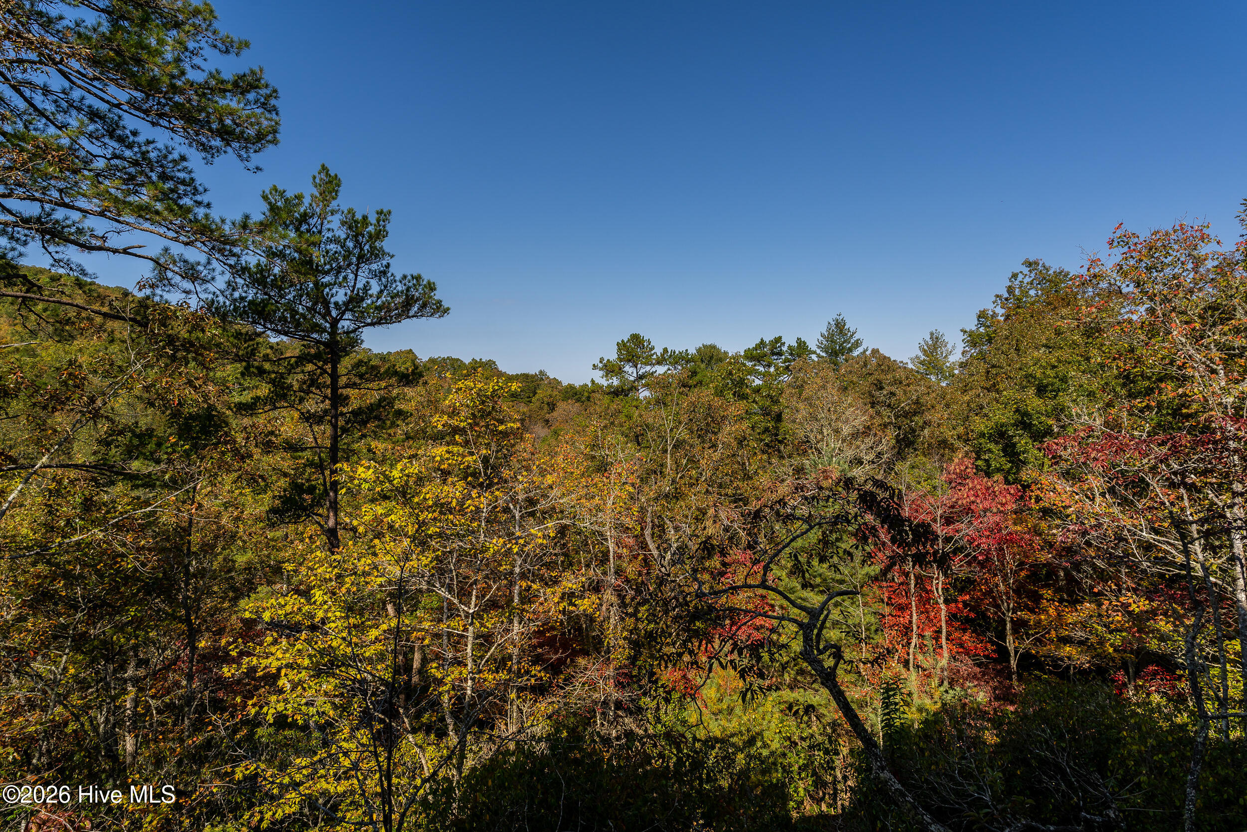 390 Fiddlers Way Property Photo 8
