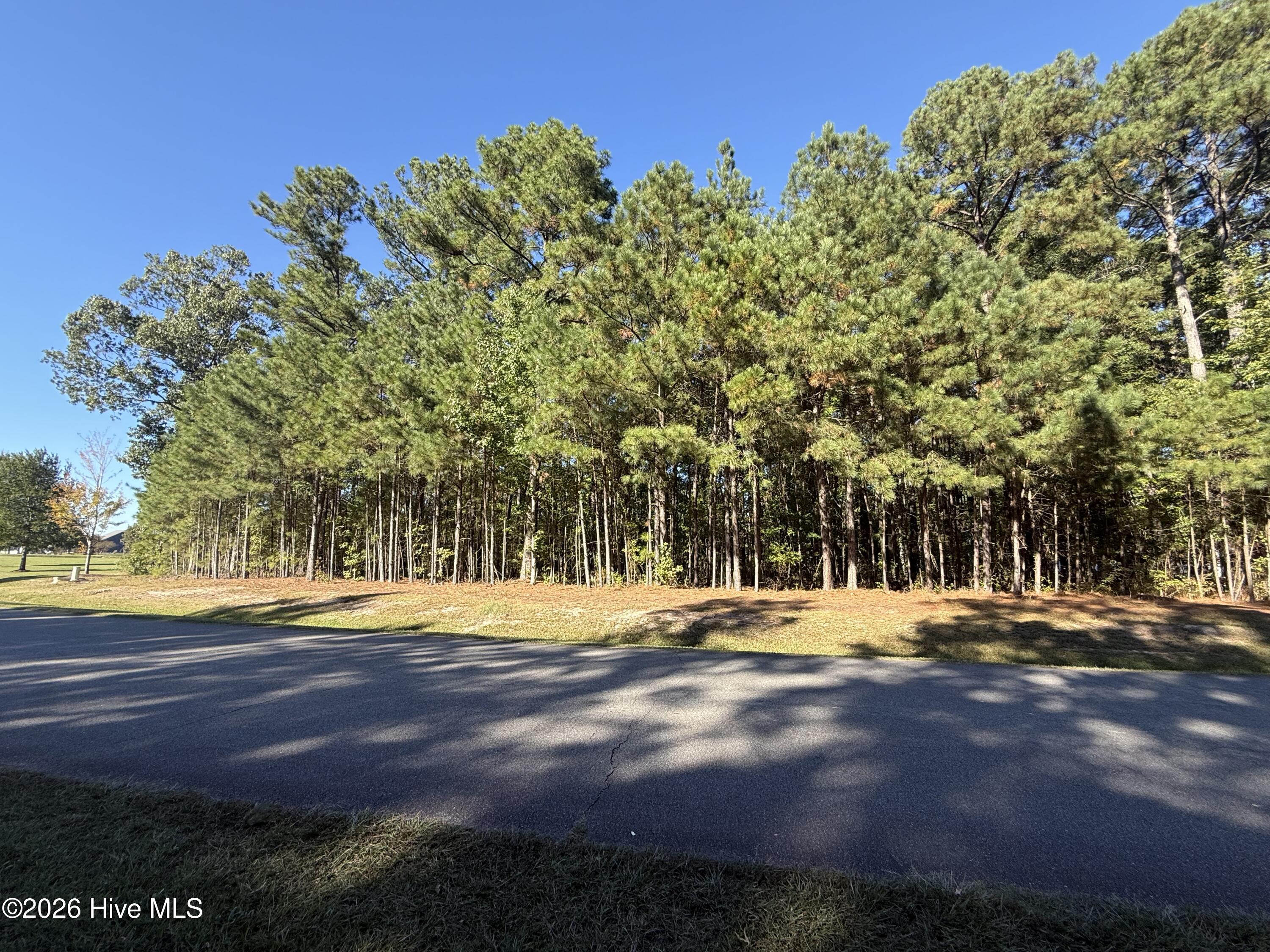66 JJ-66 Standard Bred Way Property Photo 1