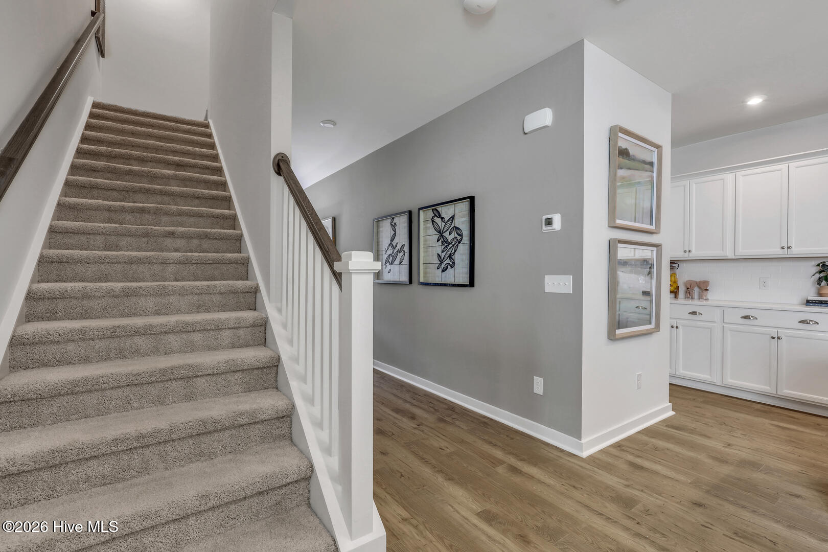 703 Tess Street Property Photo 13