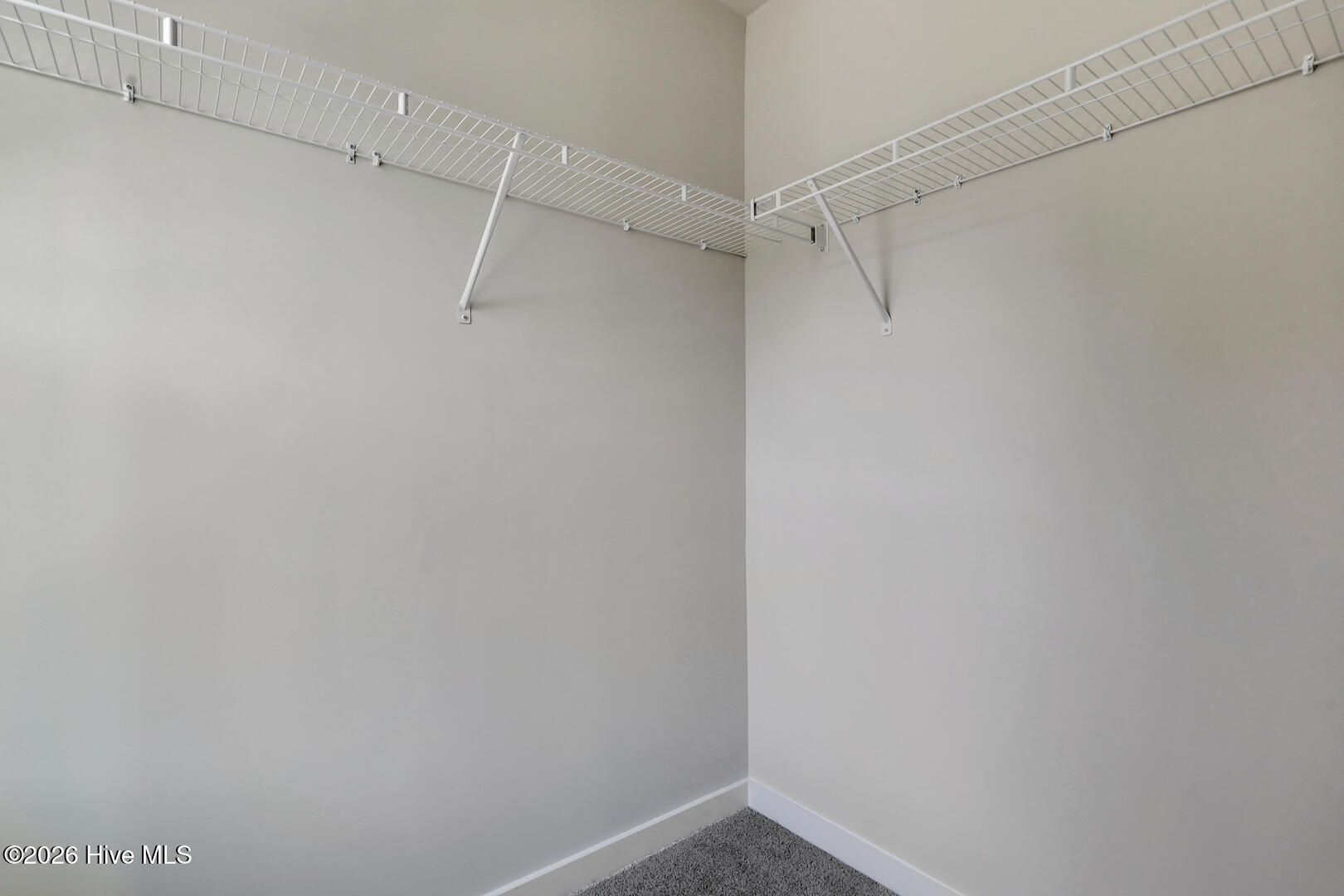 703 Tess Street Property Photo 23