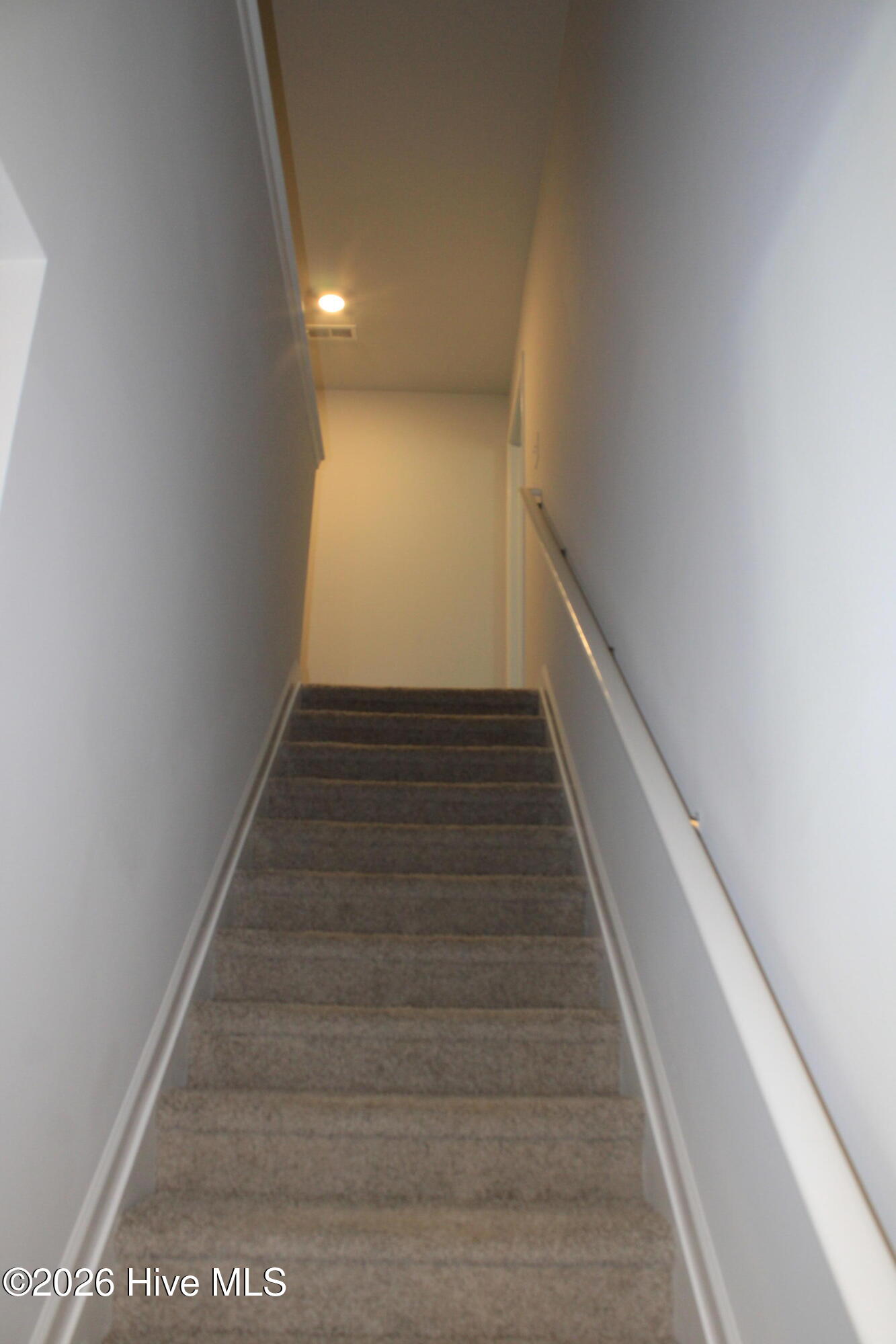 5165 Montana Loop Property Photo 19